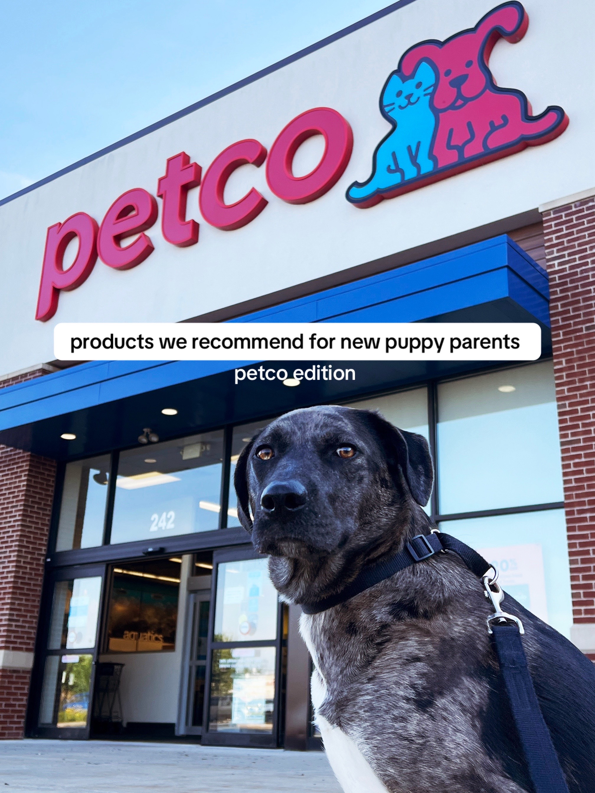 @Native Pet