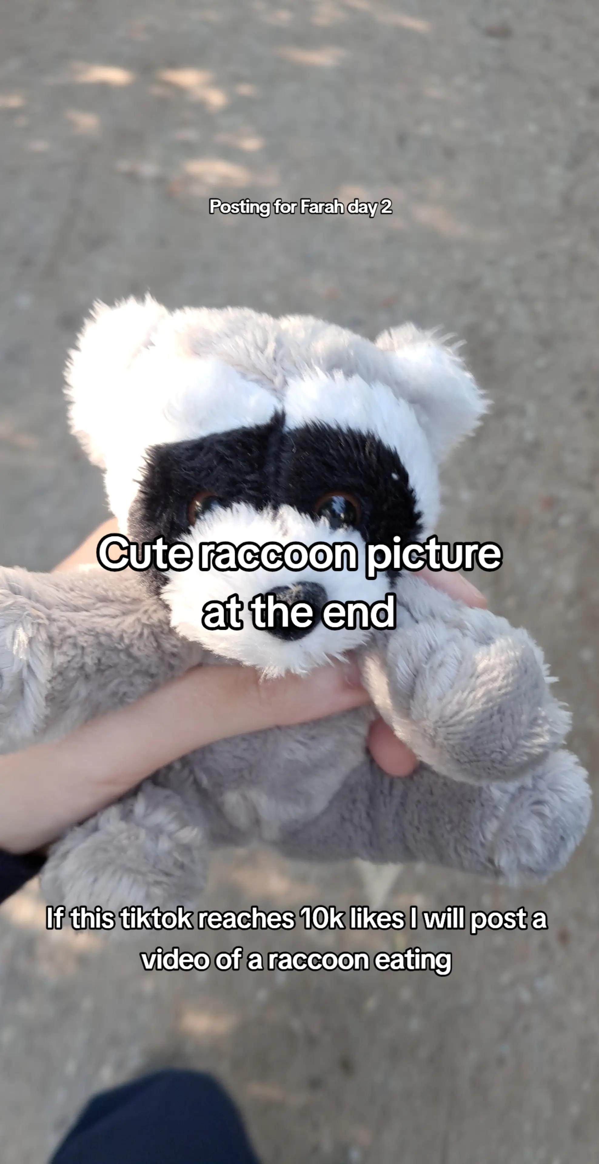@Dan
