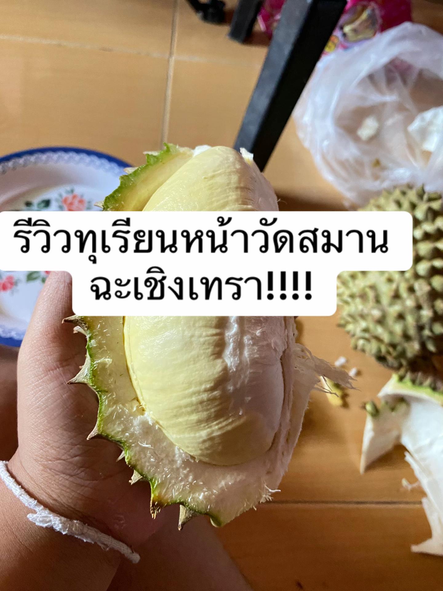 @ปลิ้นปิ่น(1.2k)