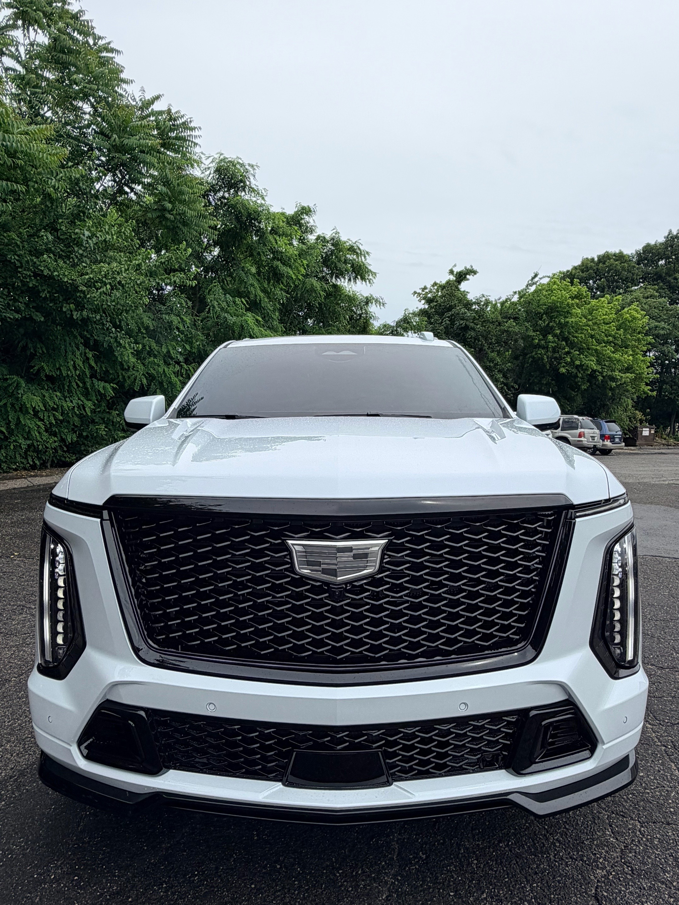 @carguy_garage