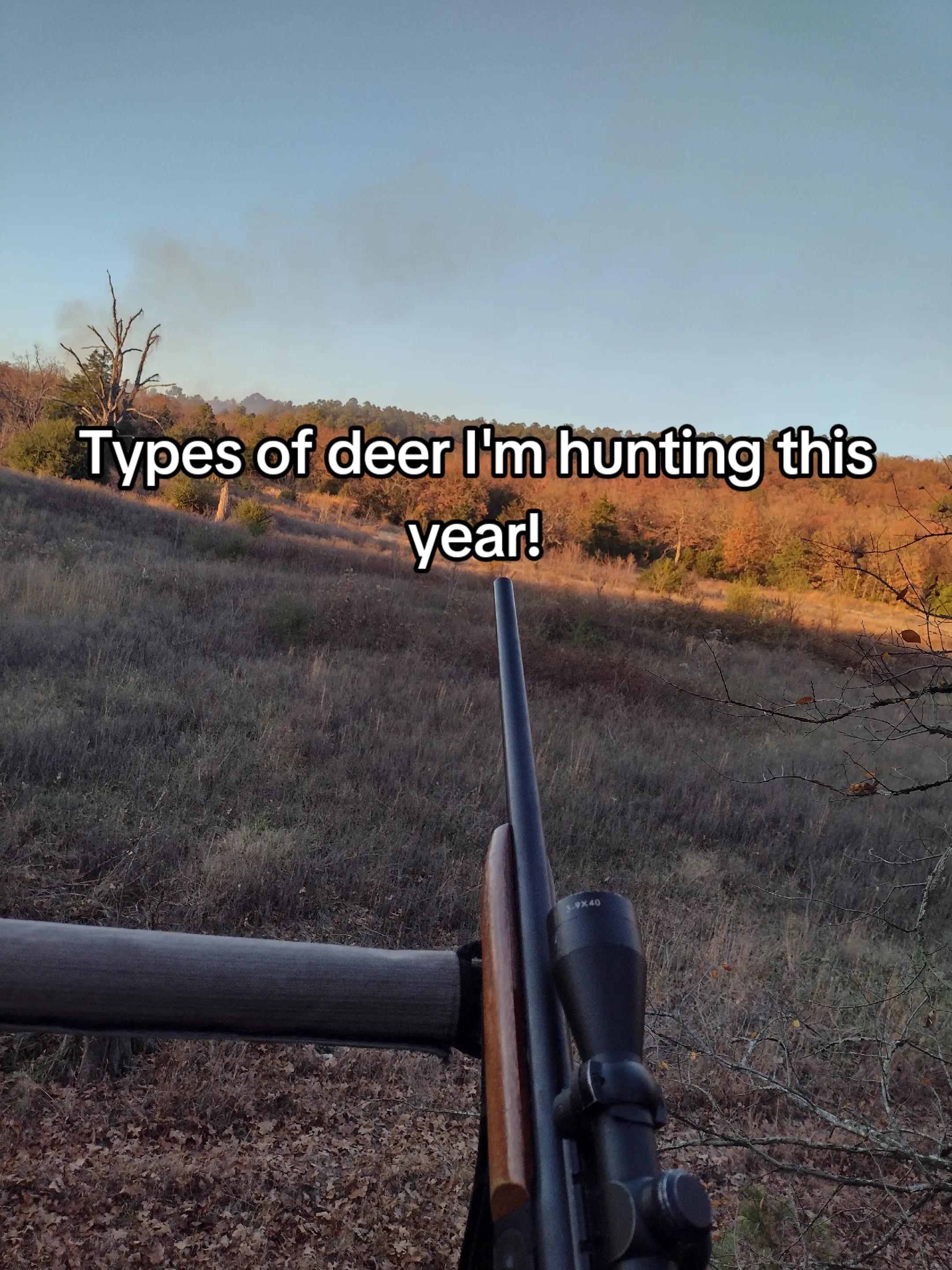 @jeremiah.leggett🦆🦆