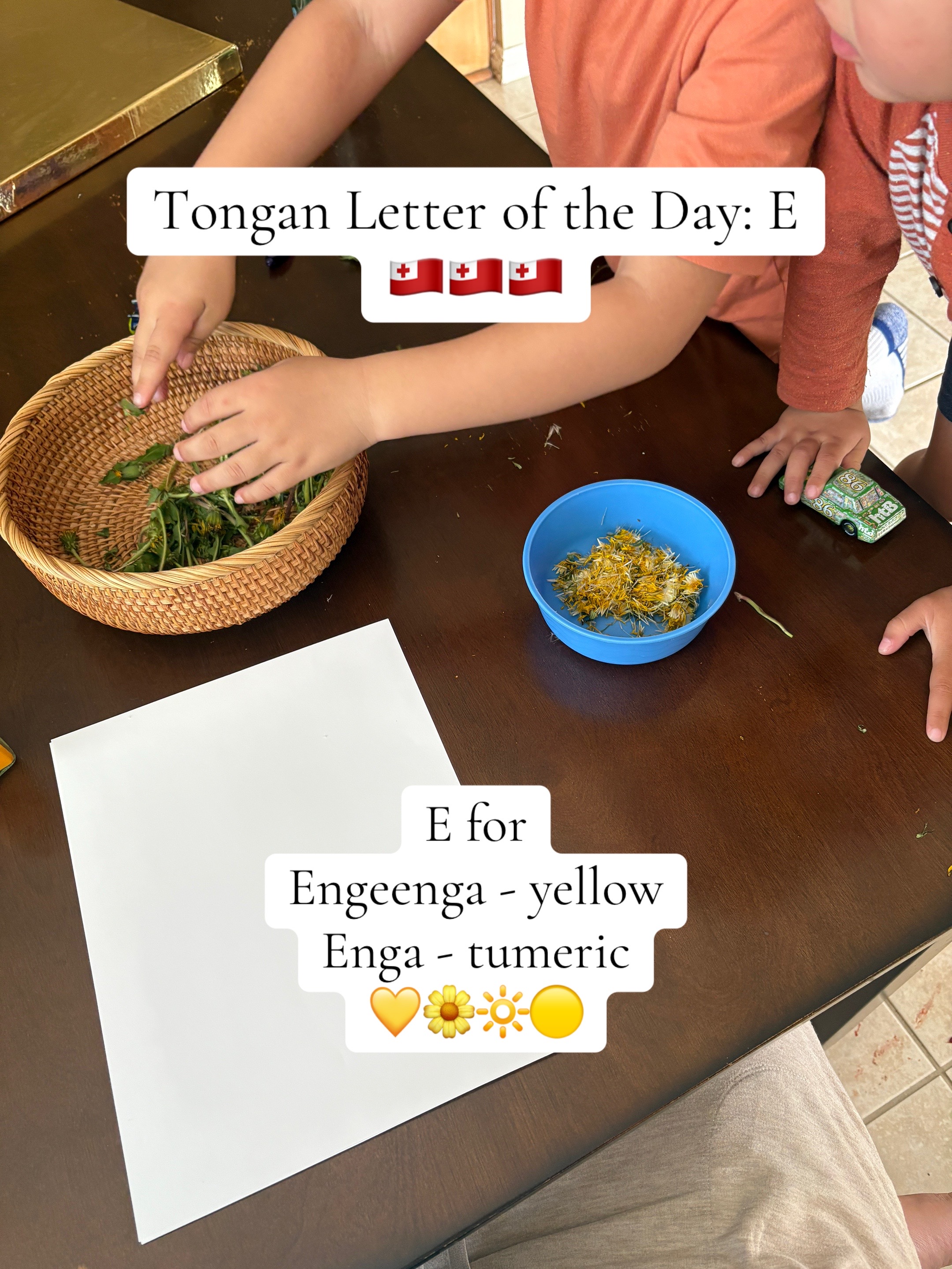 @Tiny Tongan Treasures | Books