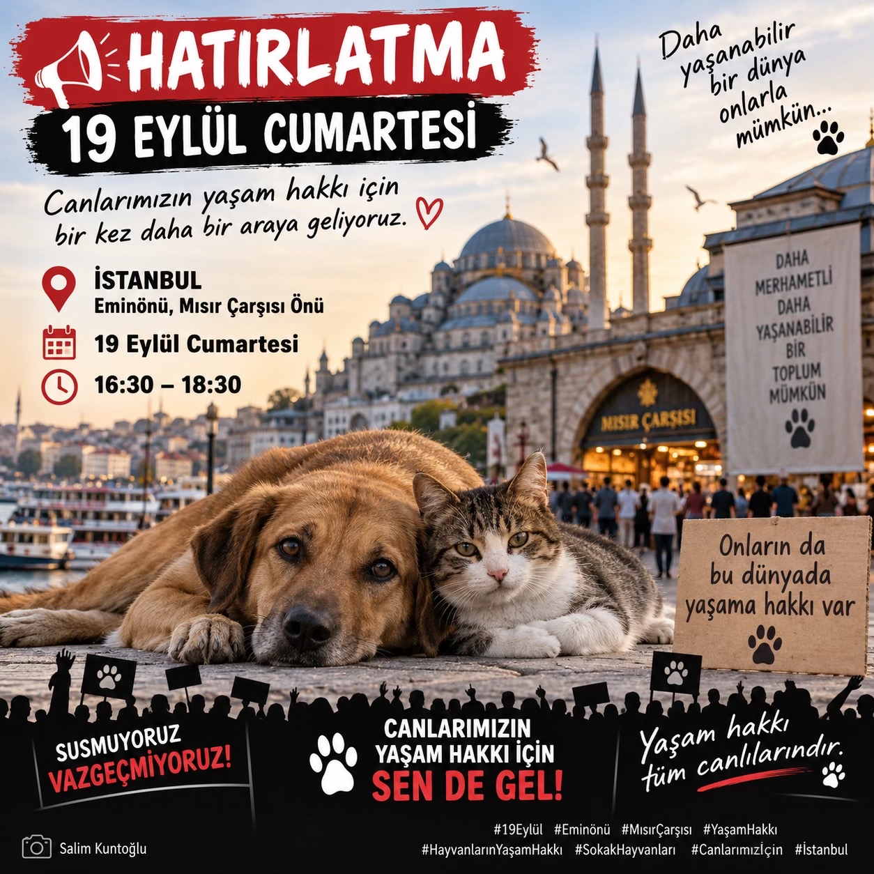 @Salim Kuntoğlu
