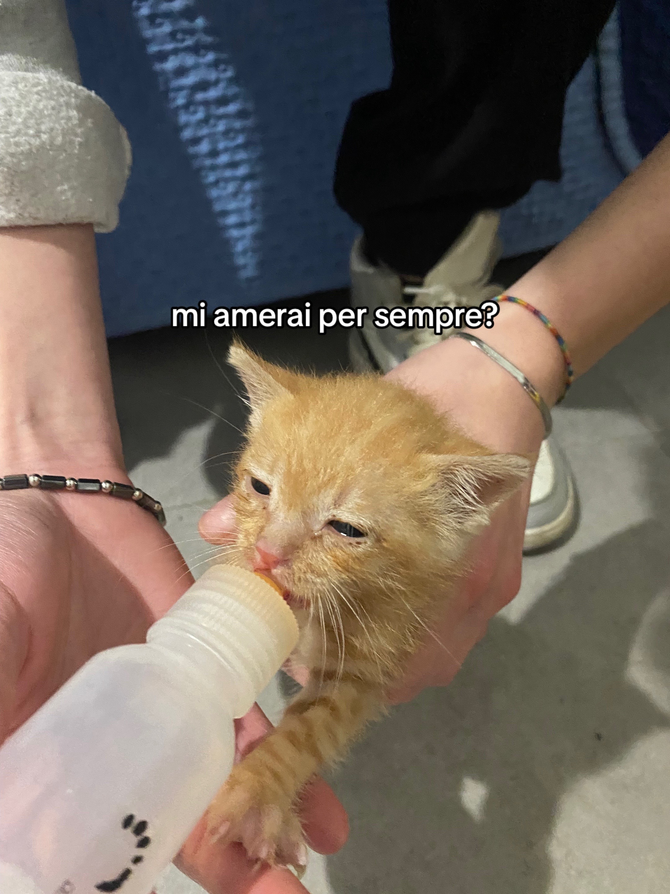 @𝐸 𝑅 𝒴🦥