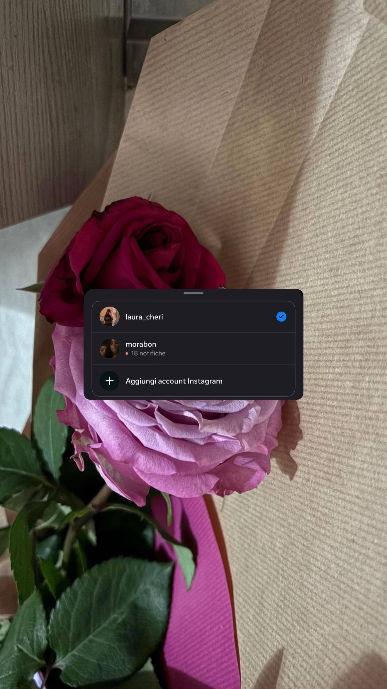 @Laura🌻💛