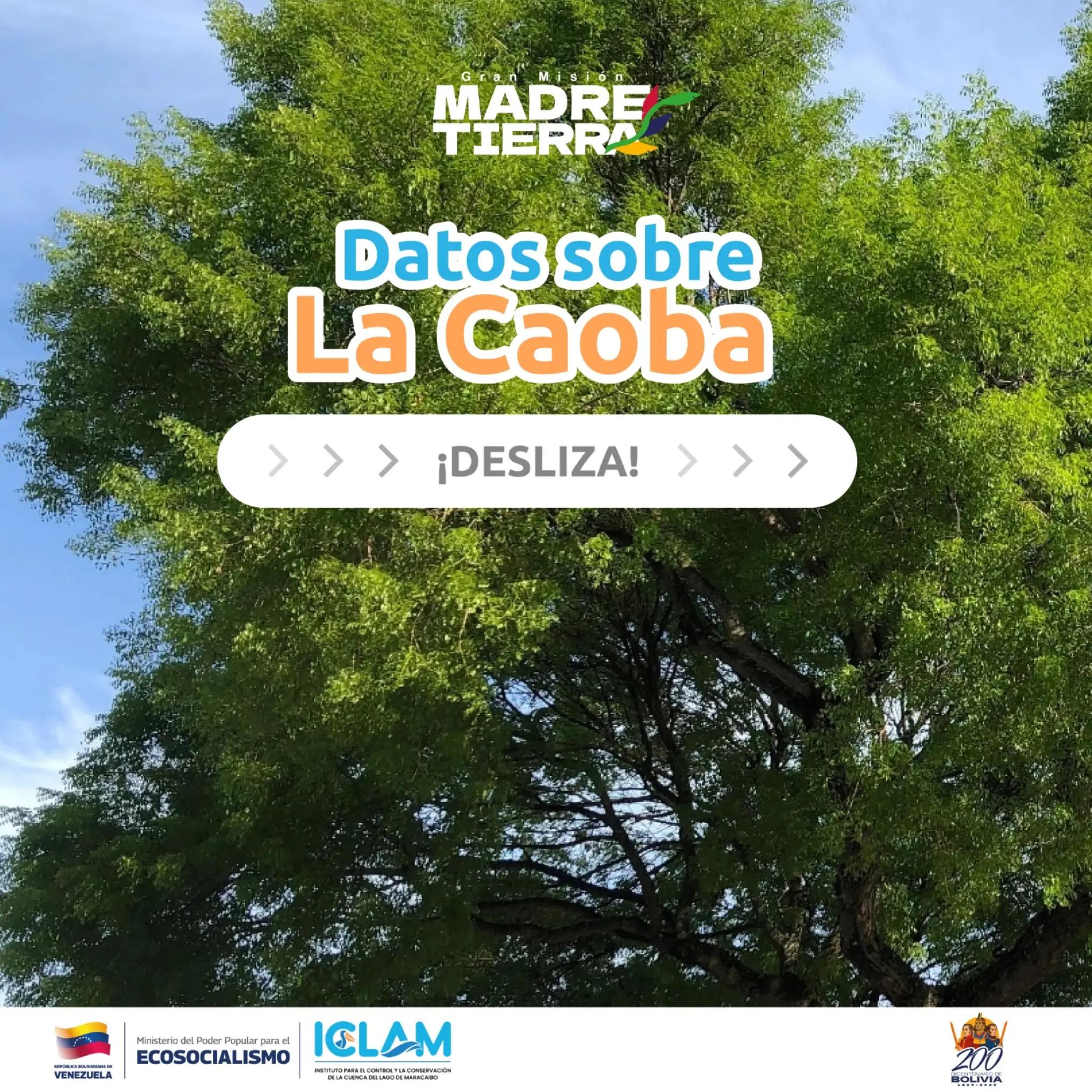 @iclam_ve