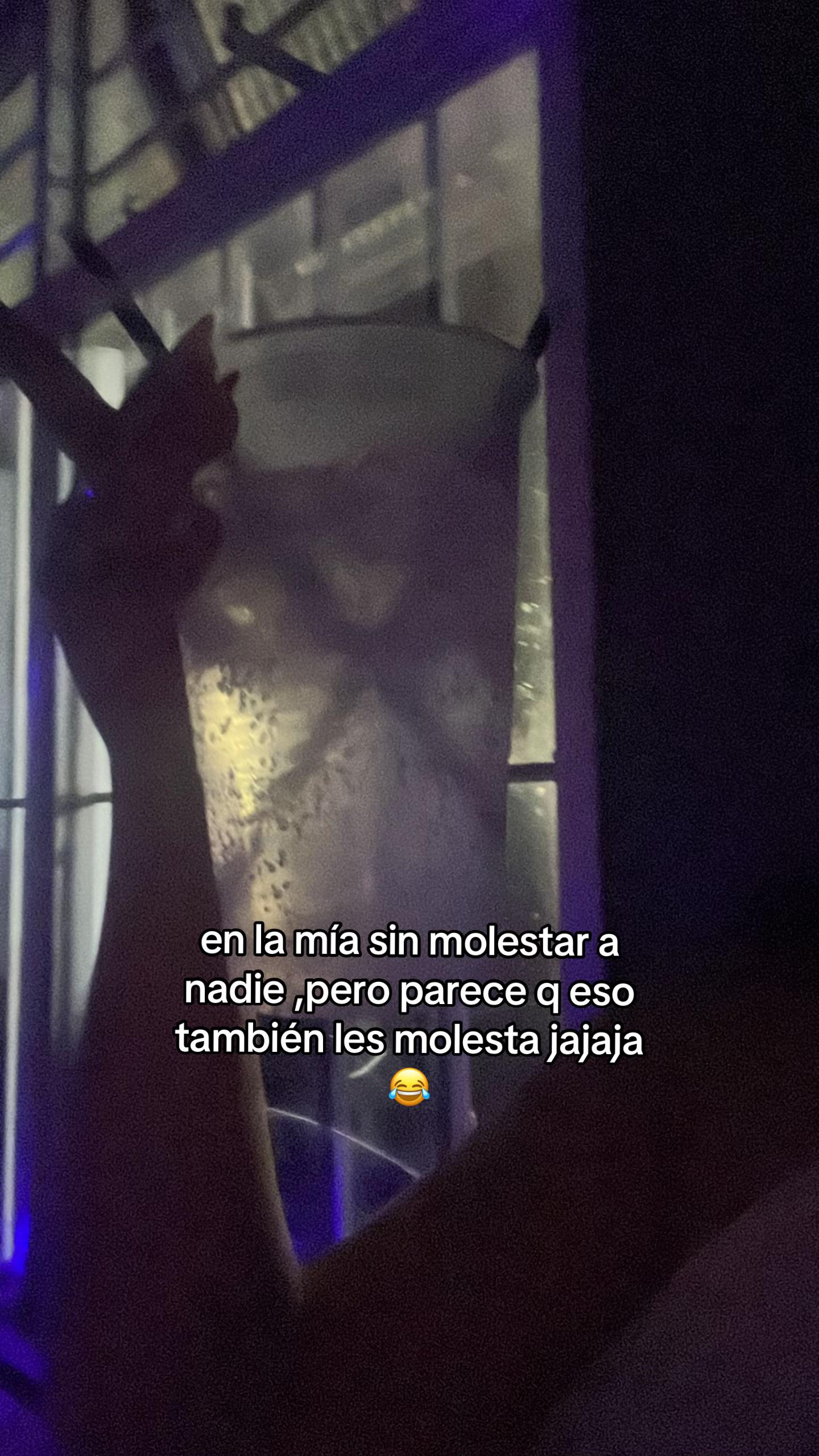 @ada_ lopeezᥫ᭡
