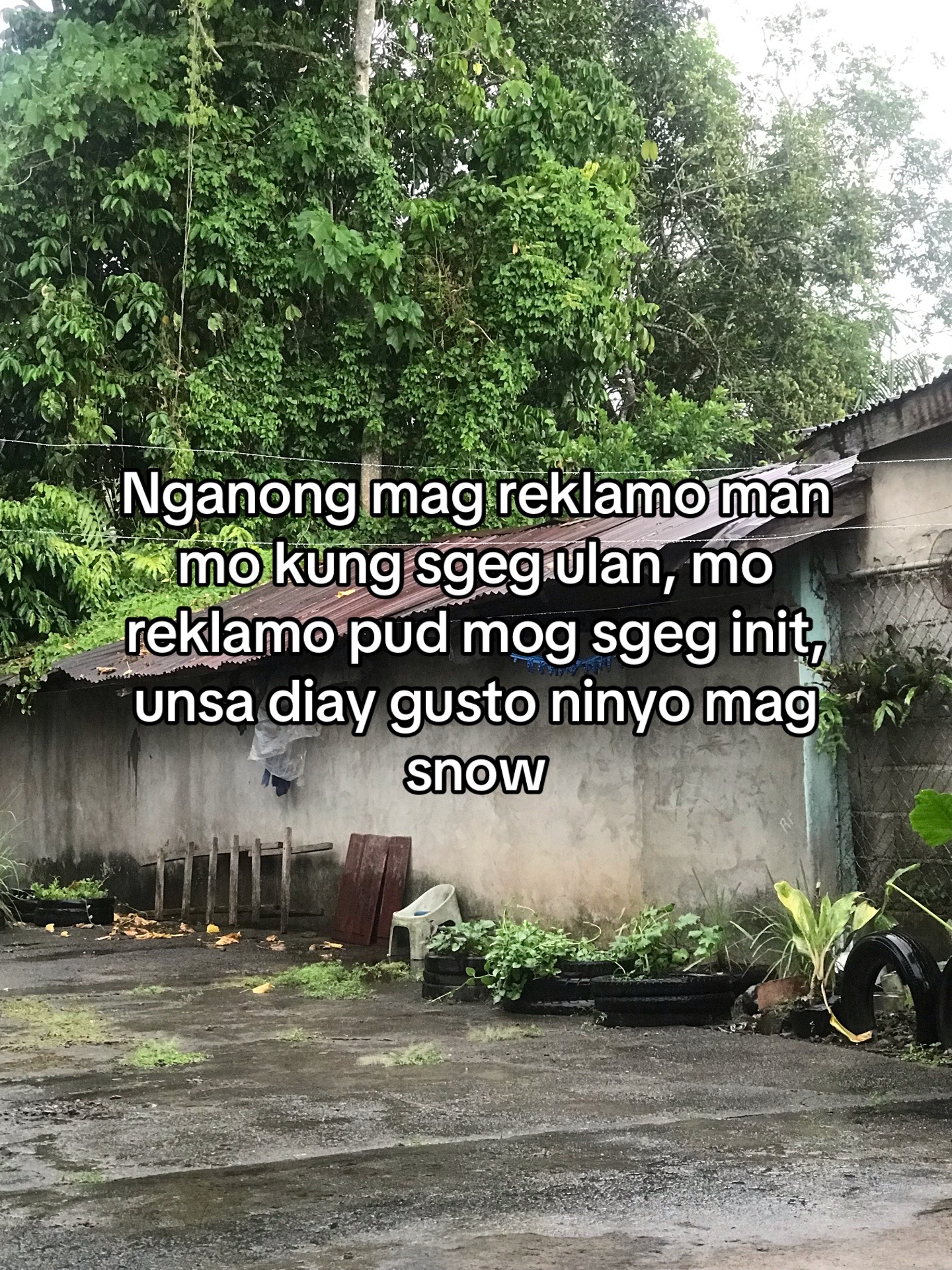 @Dinasure🤪
