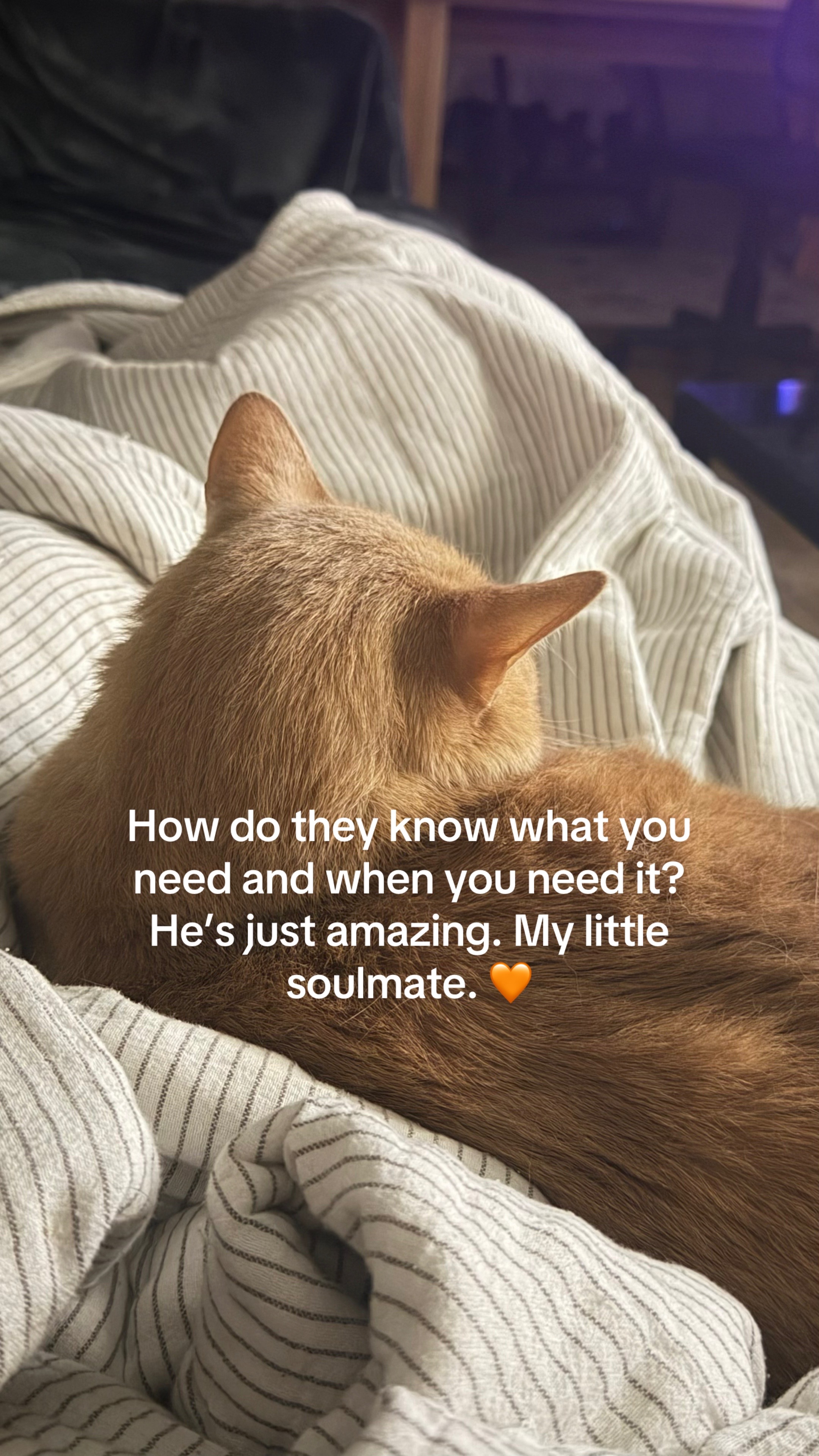 @Julie_AnnXO