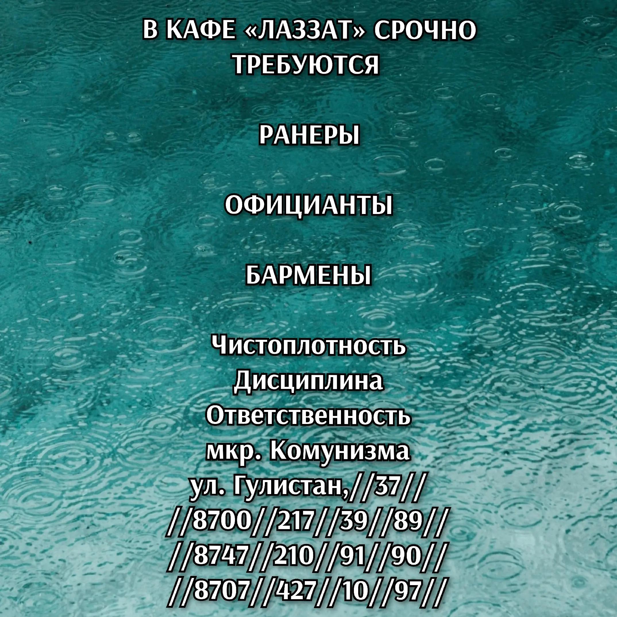 @Shymkent_the_vacancy
