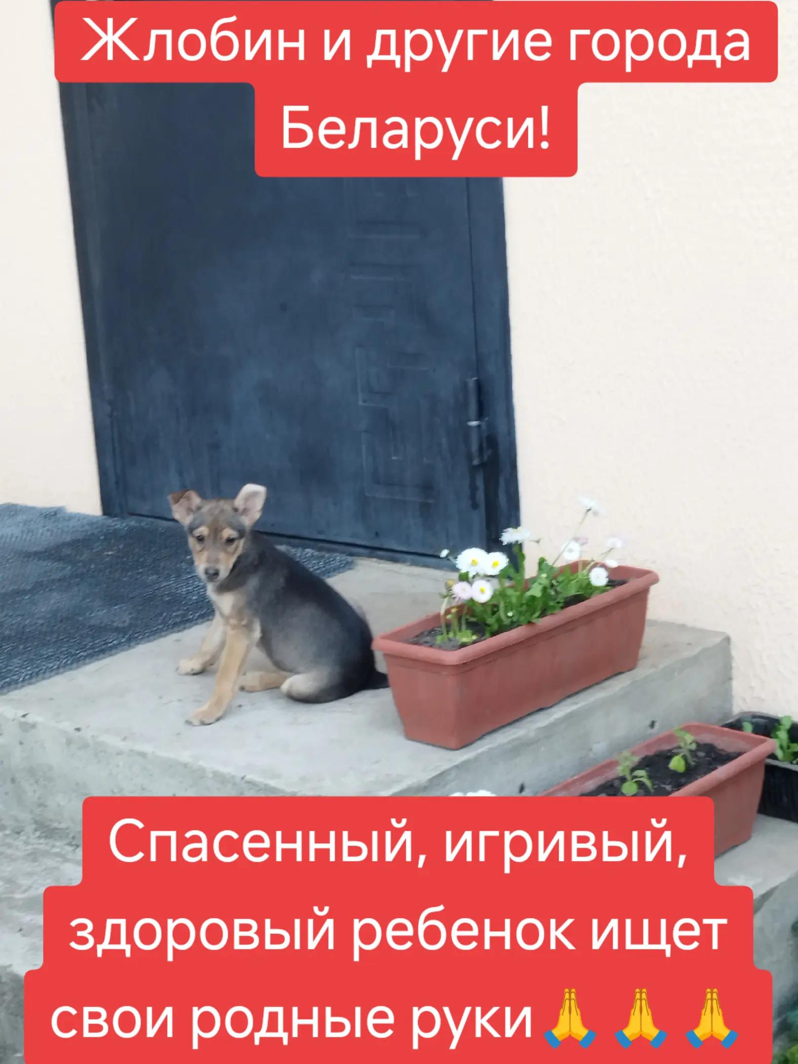 @Светлана Козлова