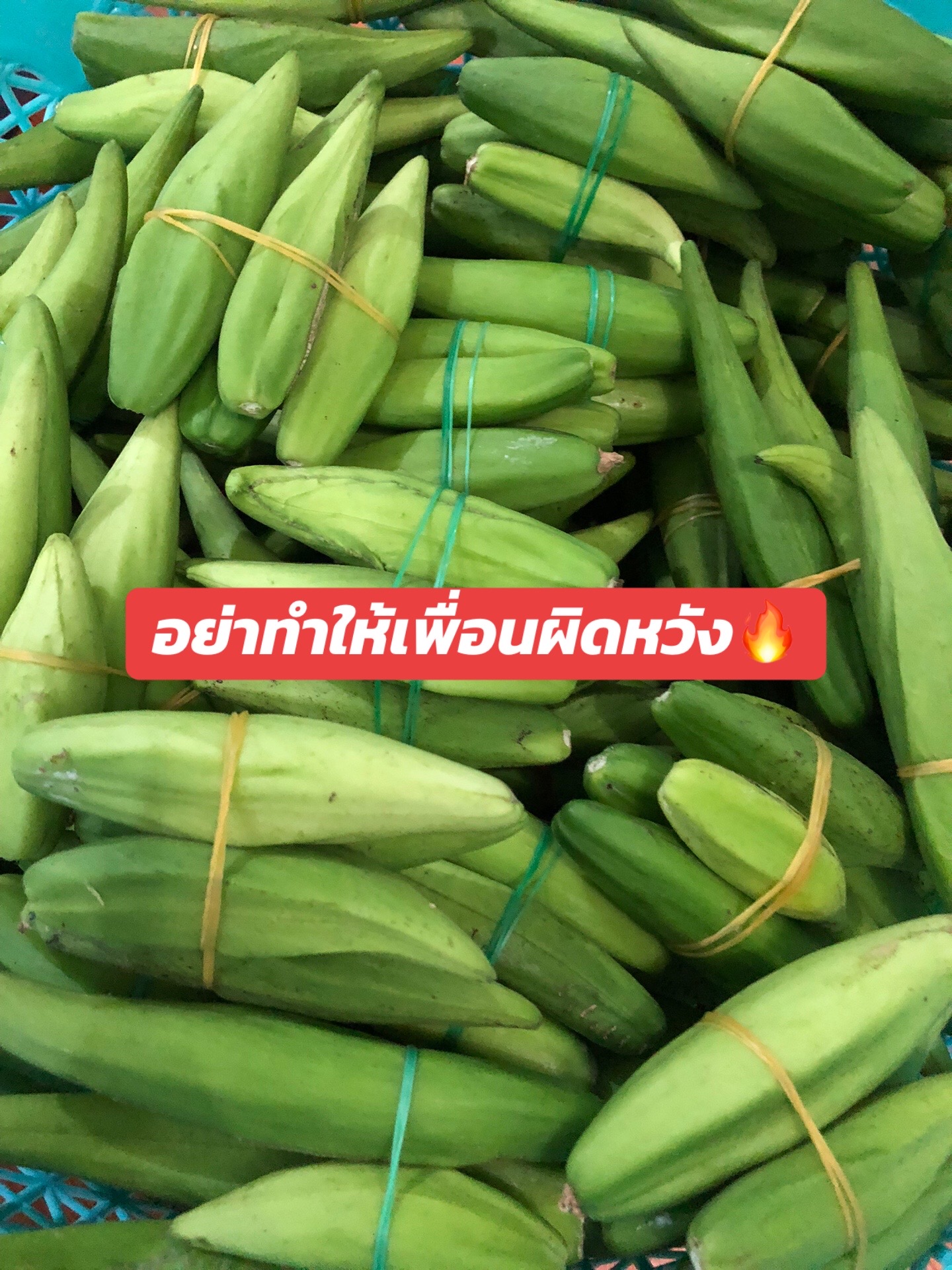 @🌿เจ๊ต่าย ขายผักป่าผักบ้าน🌿