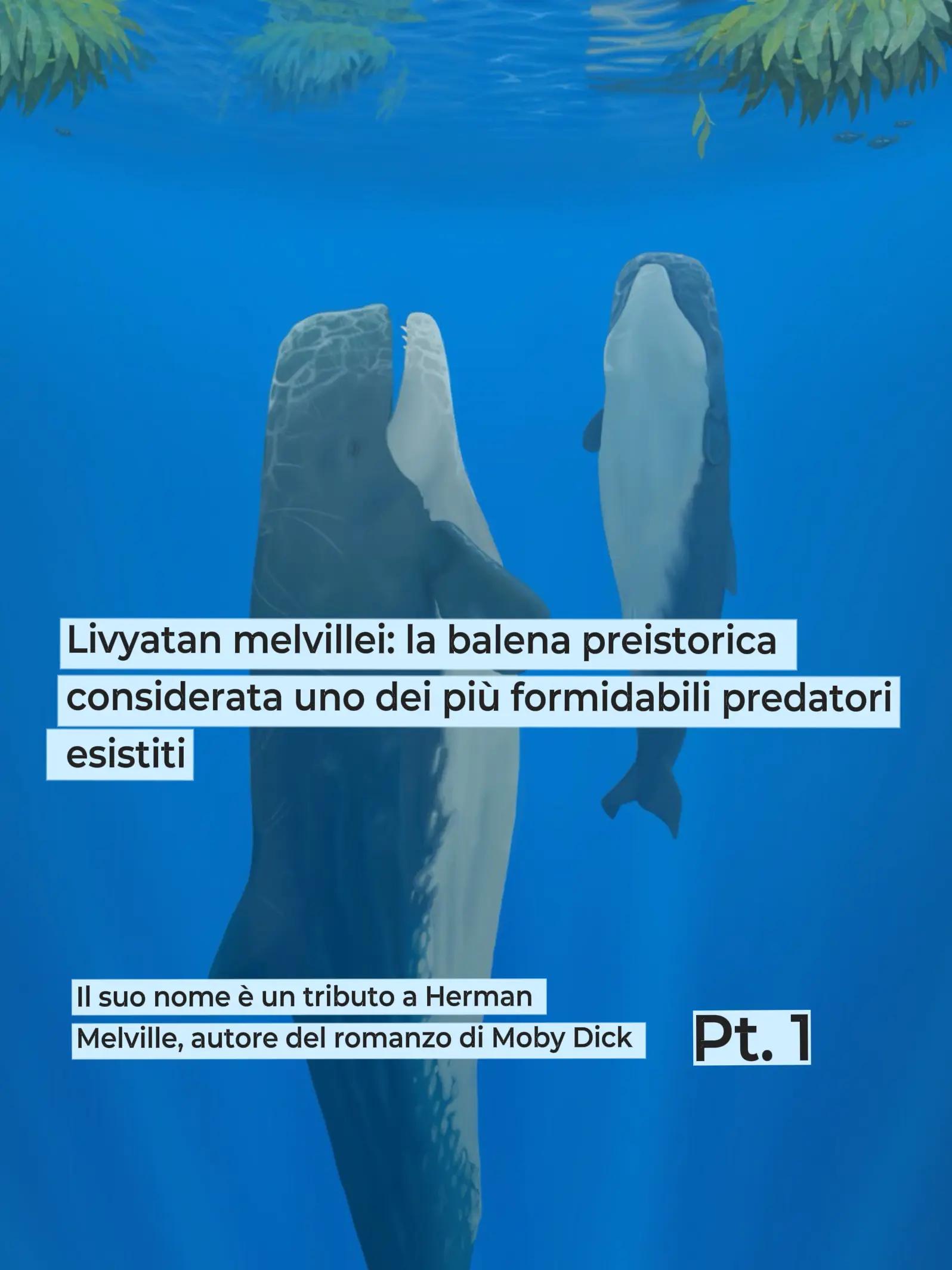 @Il dado &egrave; ritratto