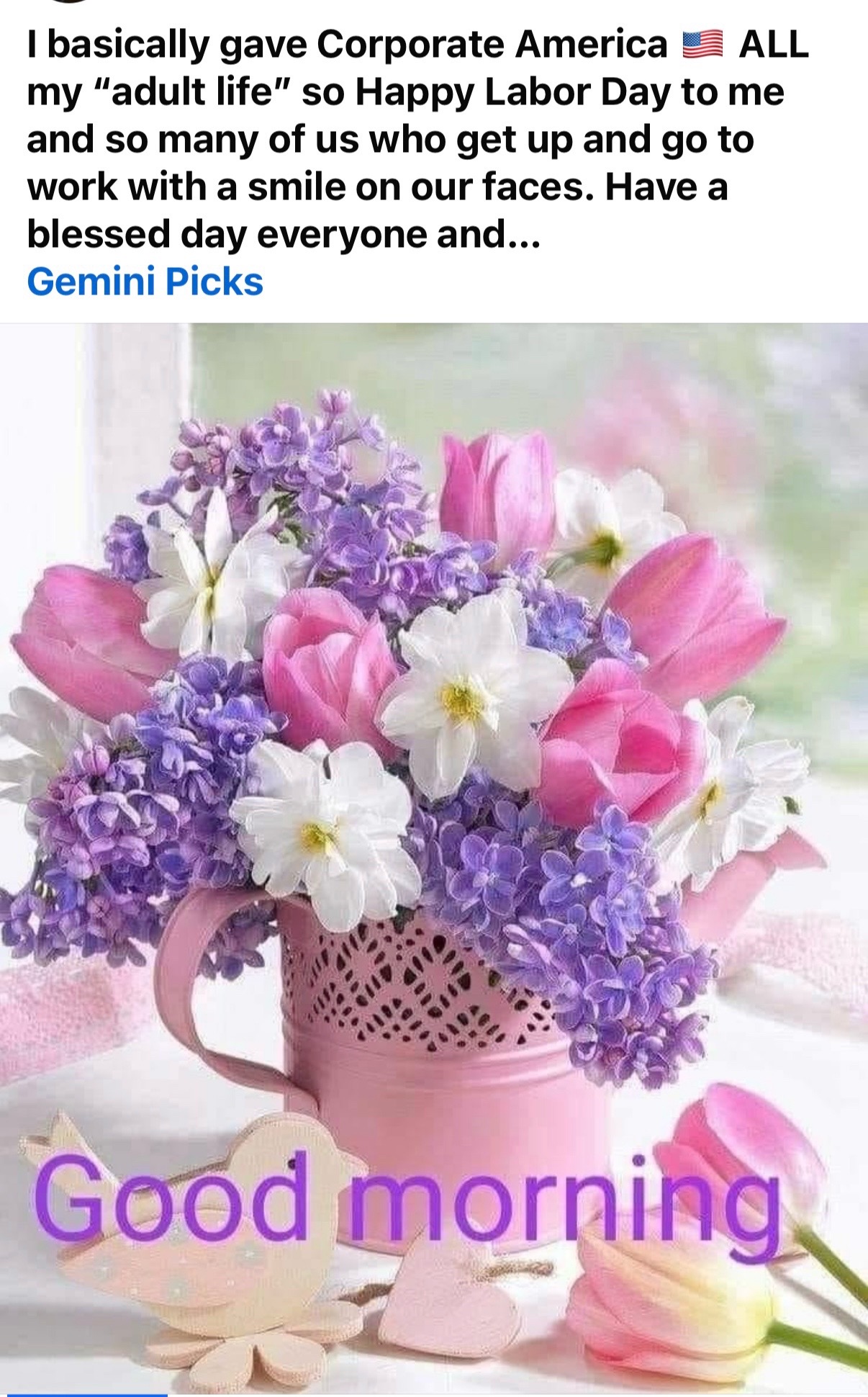 @Sheronne Gemini ❤️