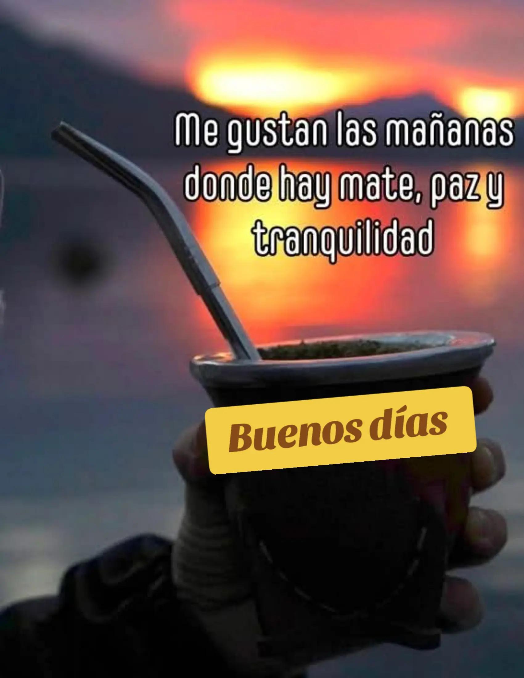 @alileiva ✨🌺🫀🧠🥂