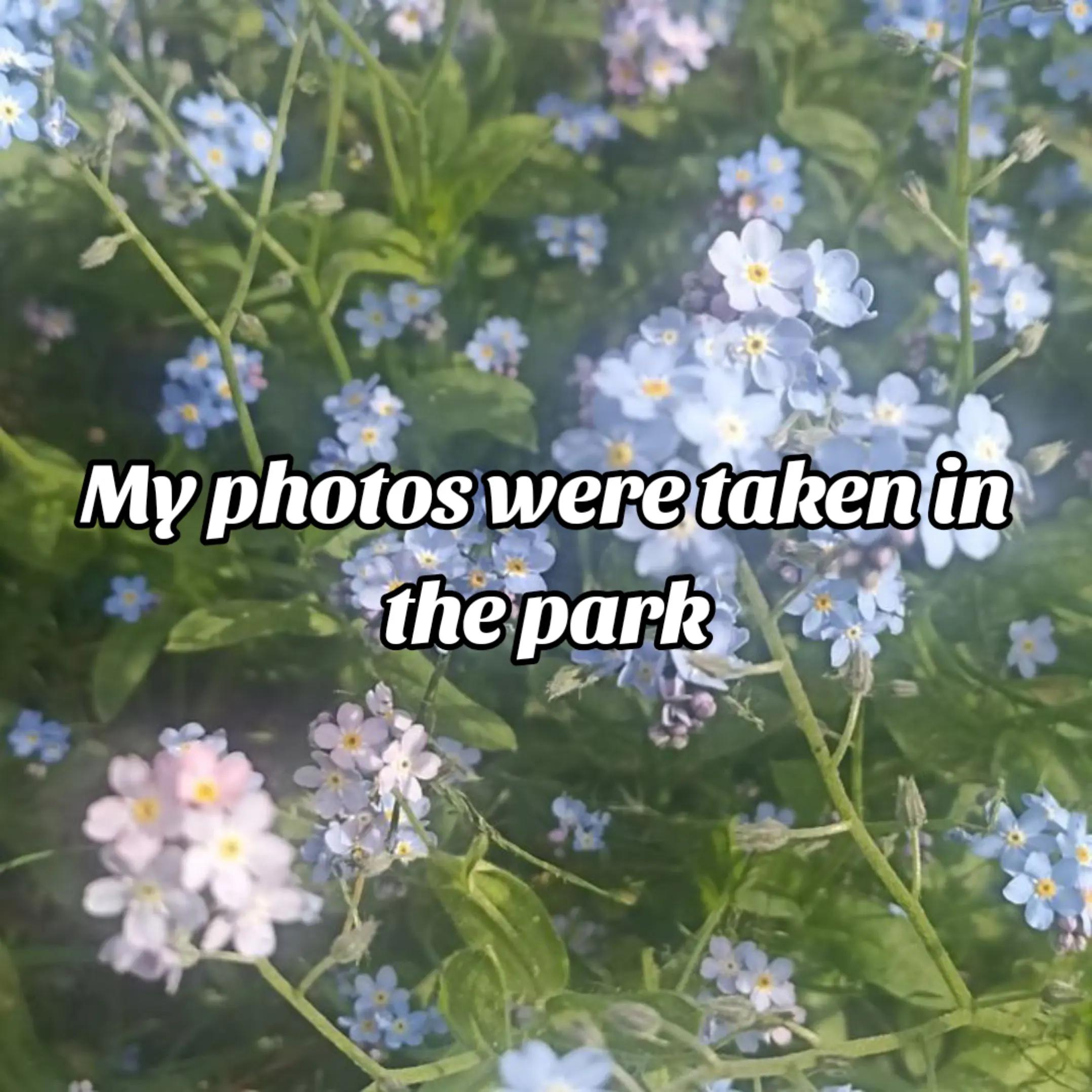 @꧁༺𝑡𝑜𝑥𝑎_𝑑𝑜𝑧𝑎༻꧂