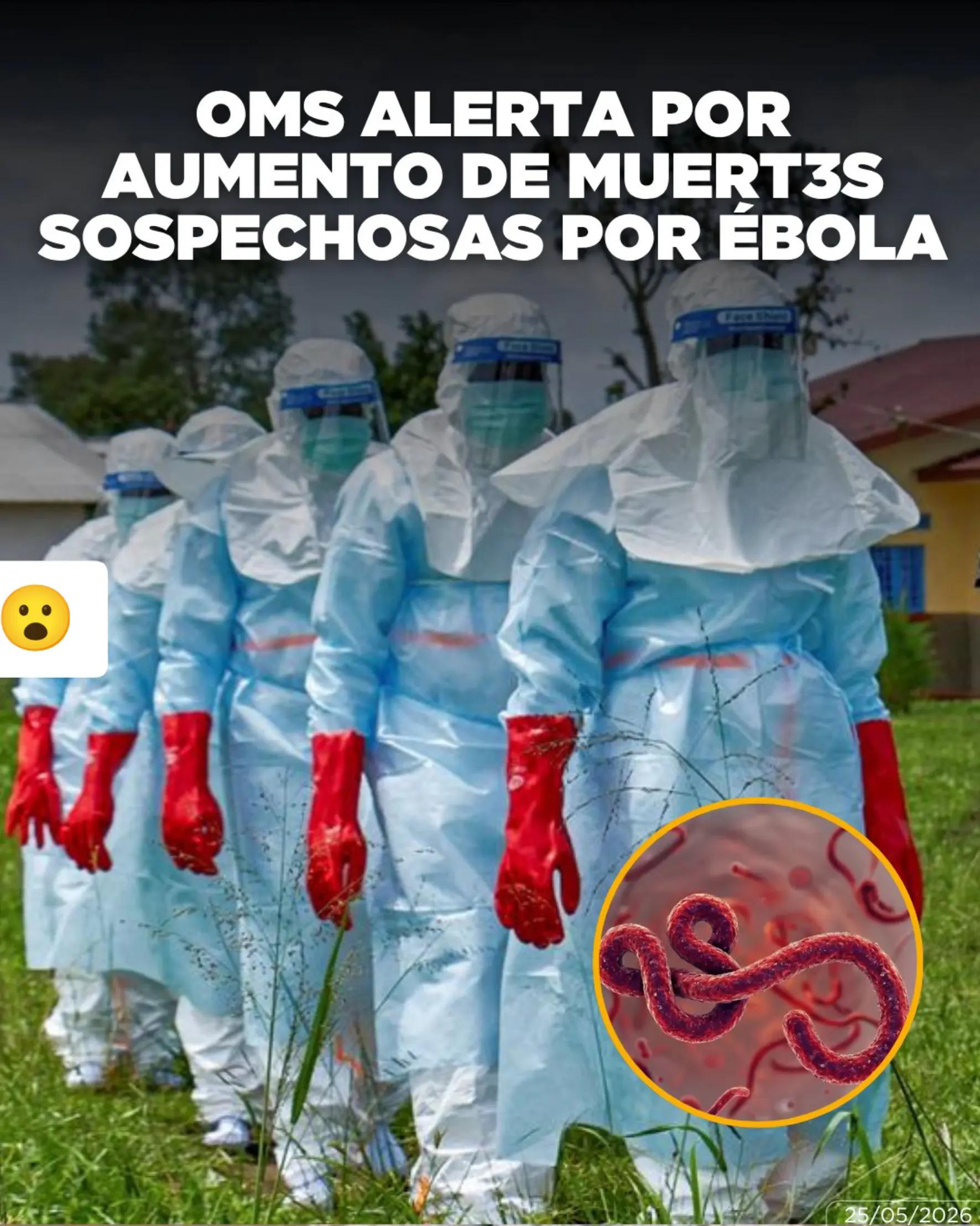 @Too Noticias