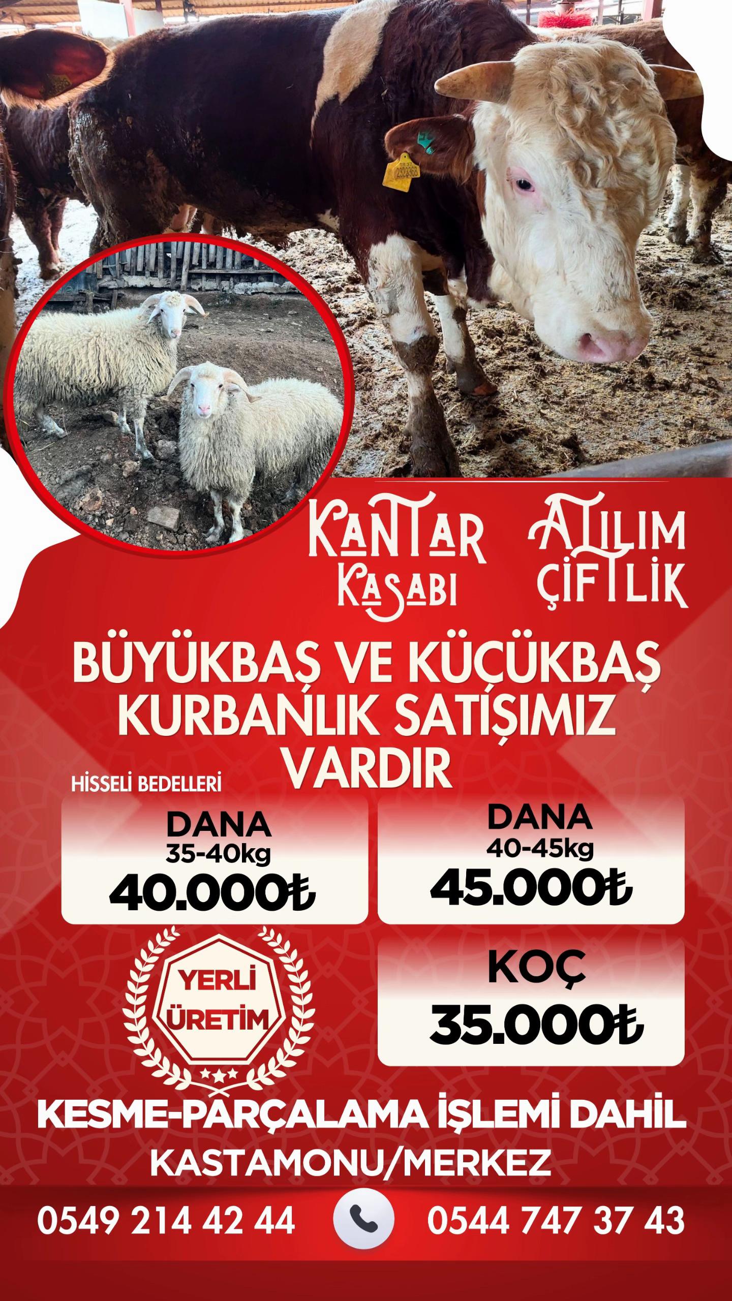 @Necmettin Kantar