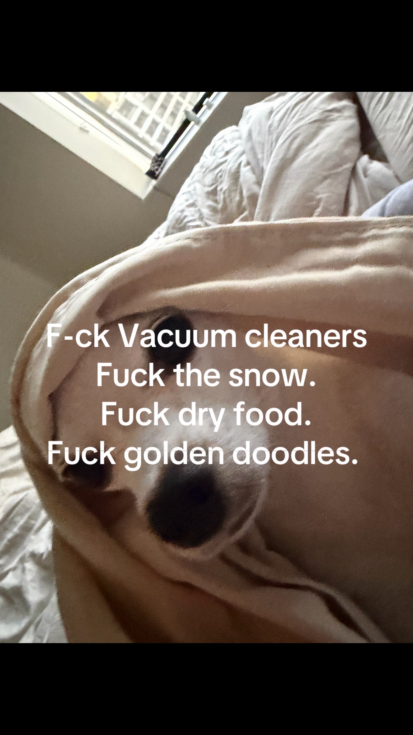 @Prince.
