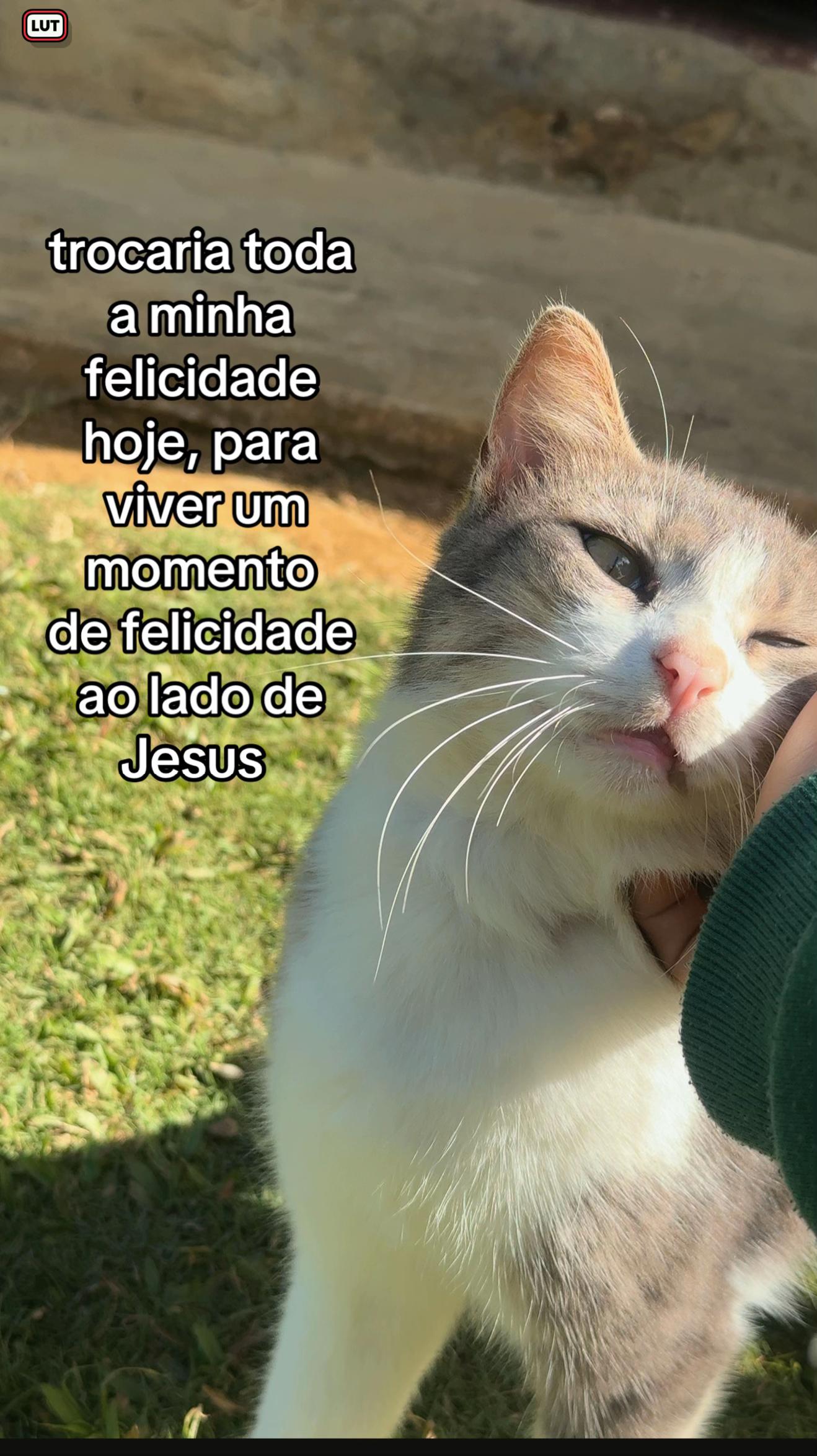 @eoduarte