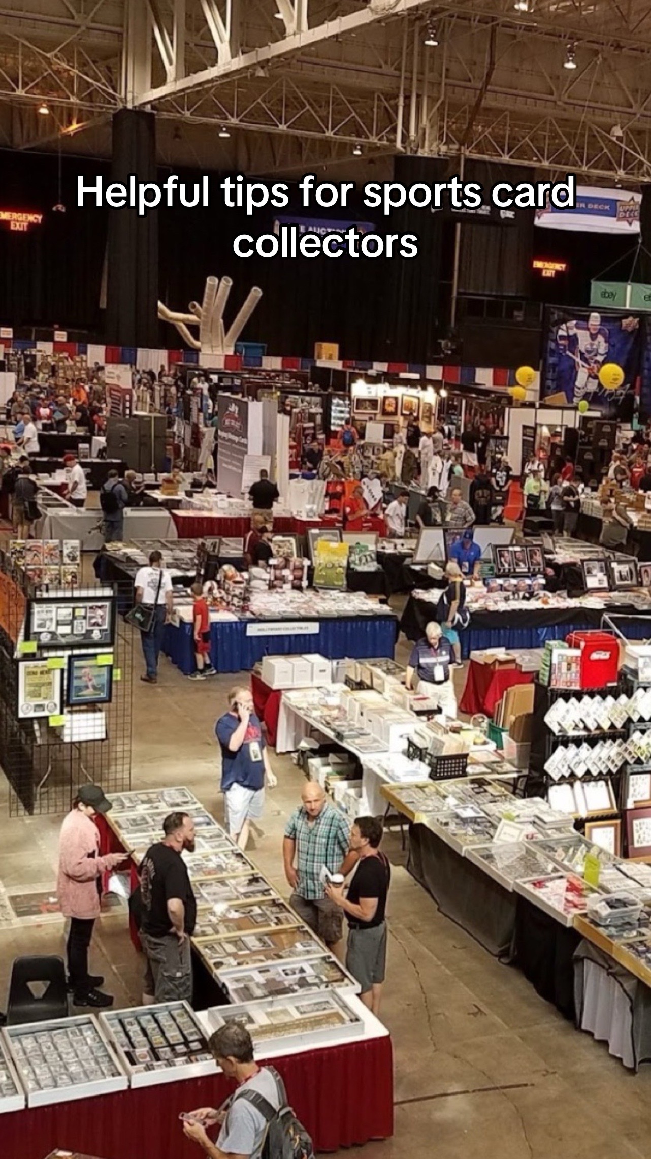 @pop culture, anime, cosplay