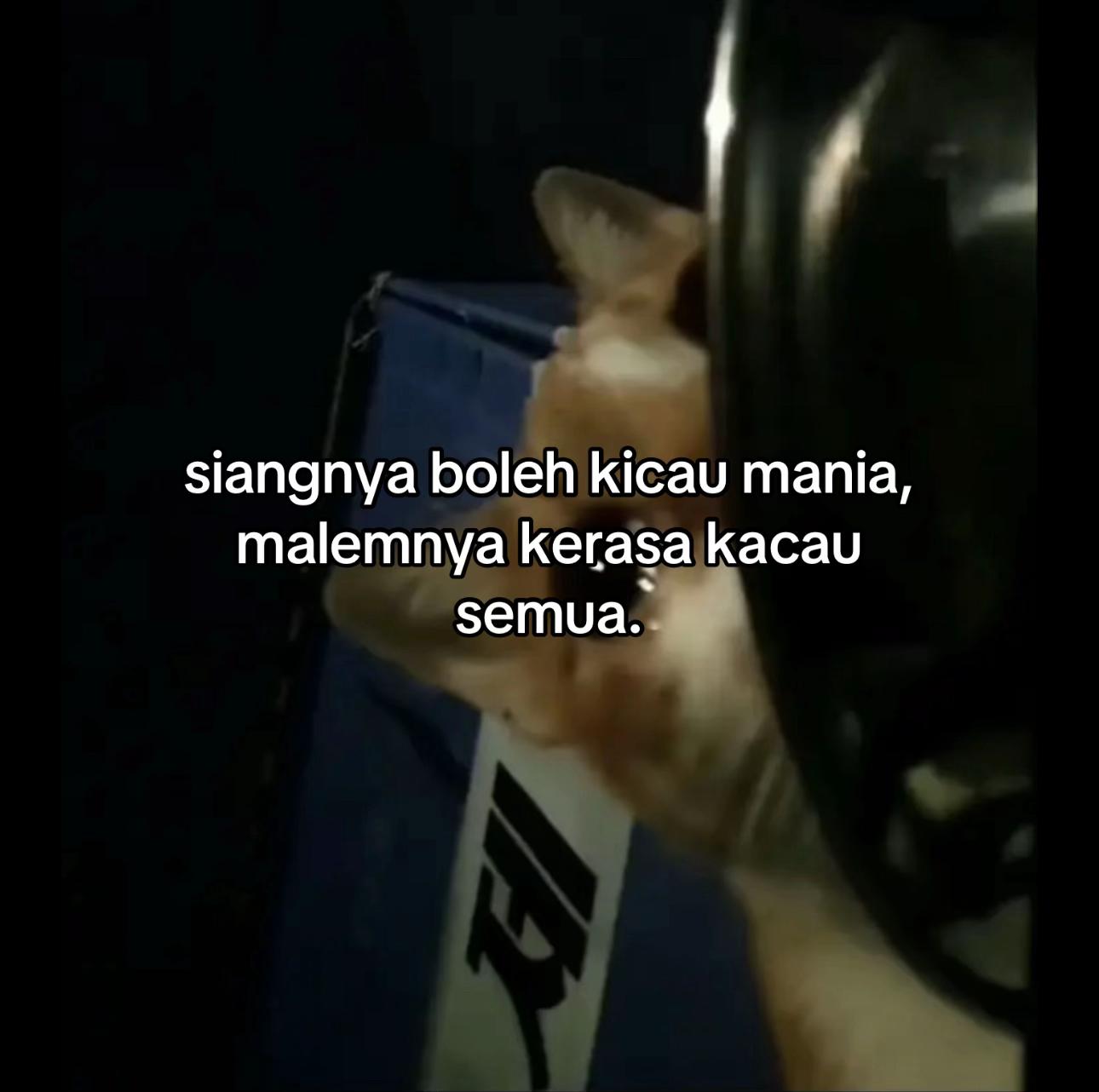 @bernada