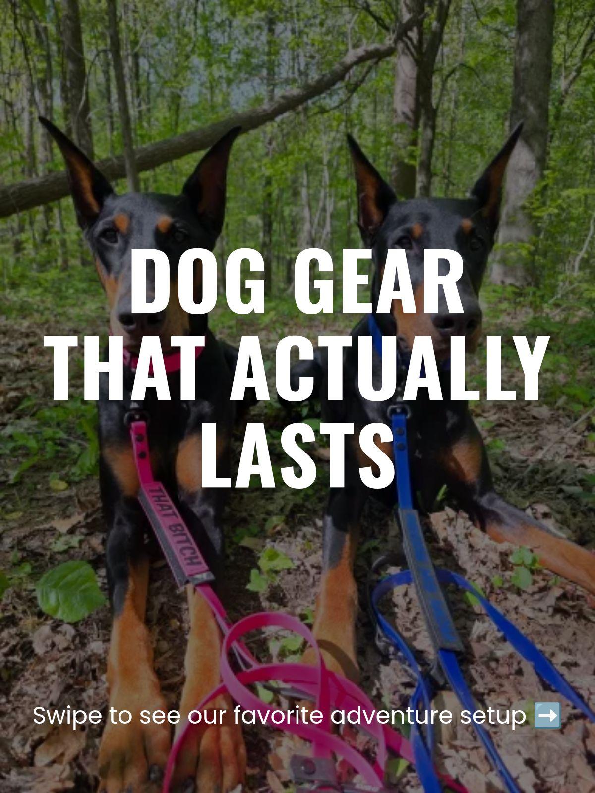 @Dobergoats Cash & Kaia