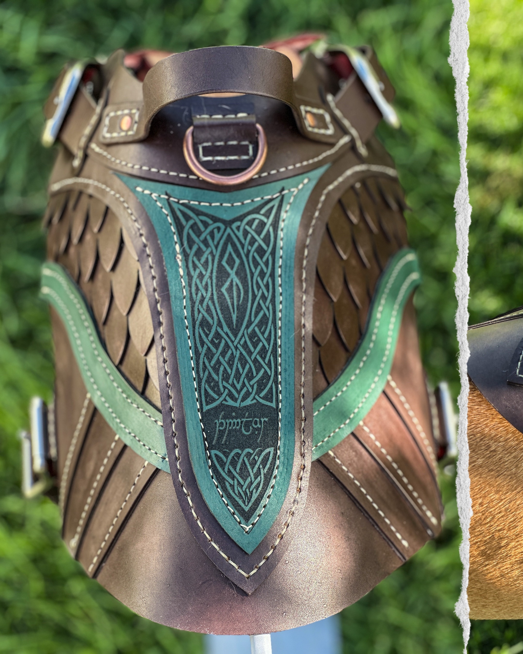 @Pet Armor | Arcane Armory