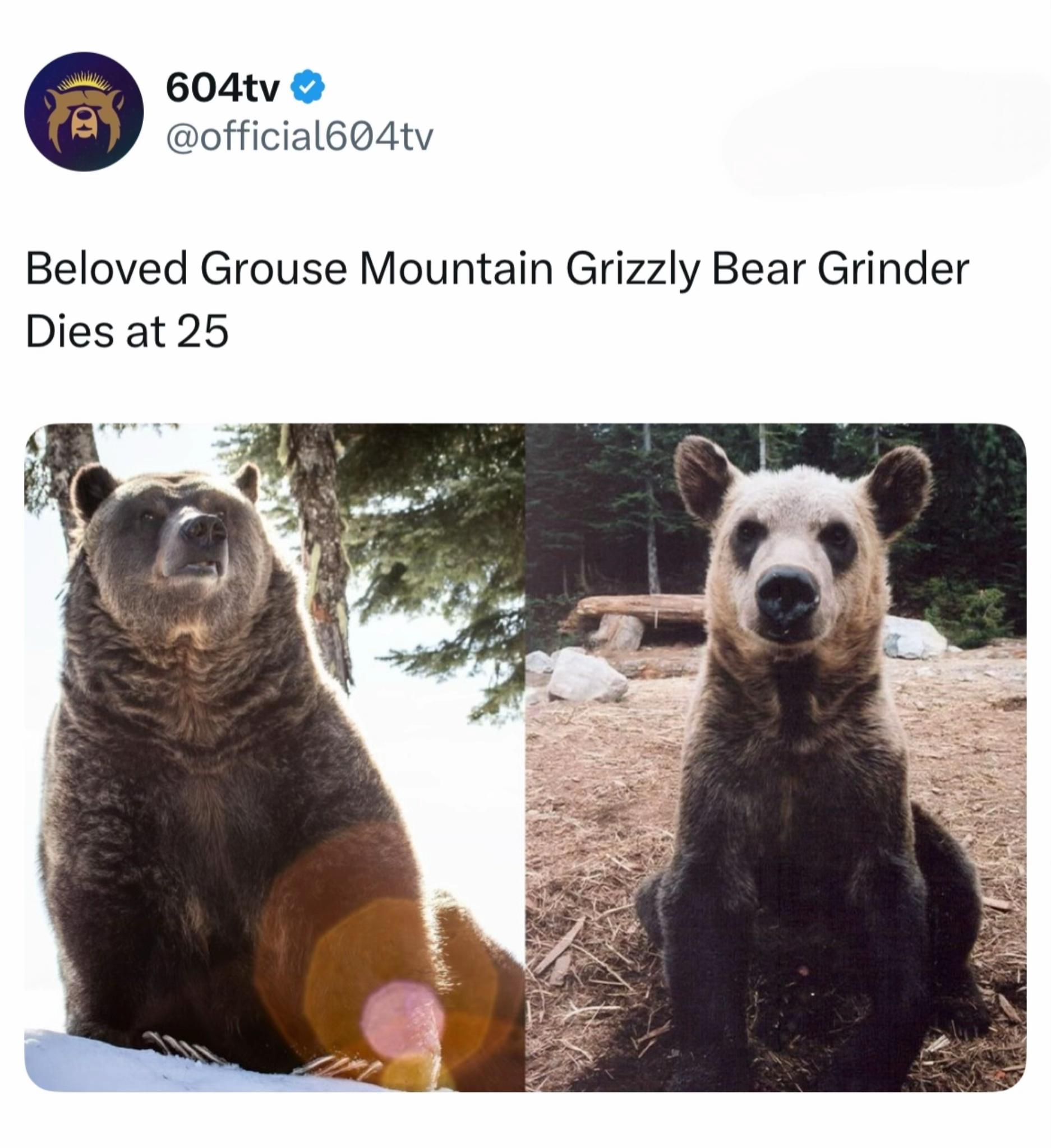 @604tv