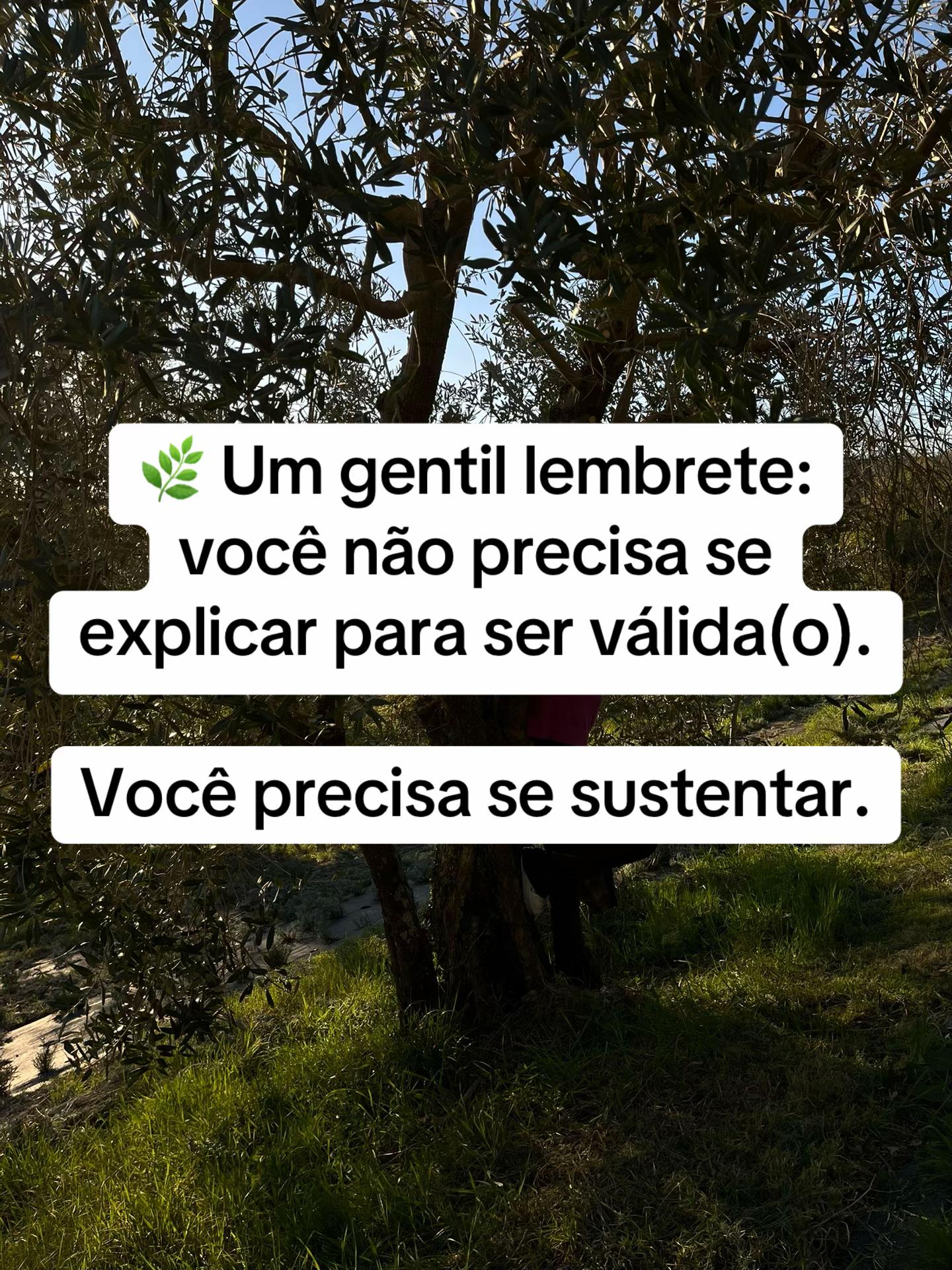 @Vanessa E. Santos | Terapeuta
