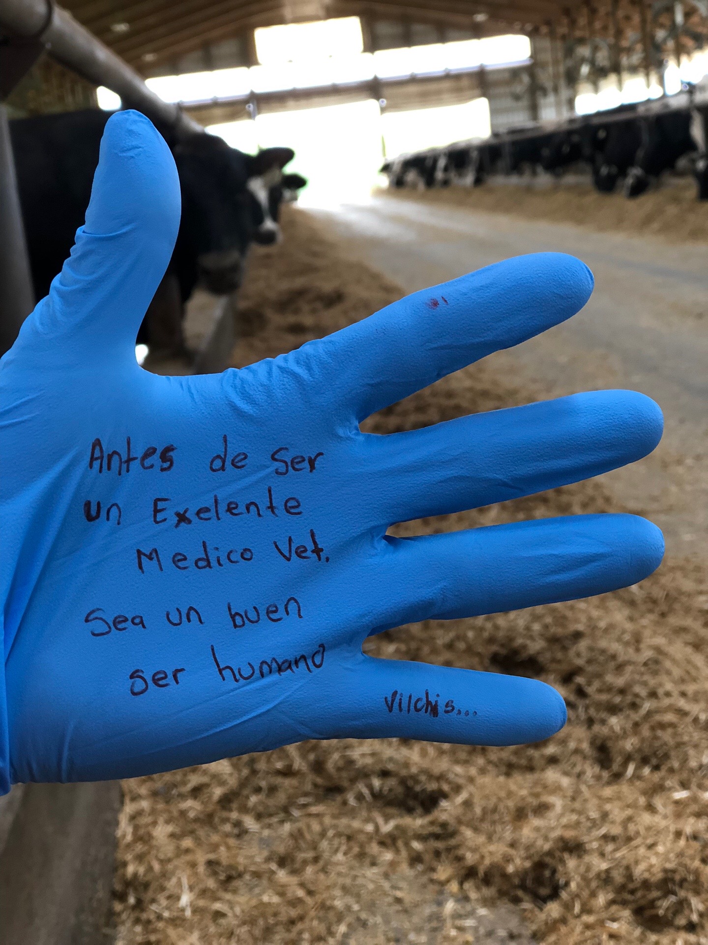 @🩺M&eacute;dico Veterinario Vilchis🤠