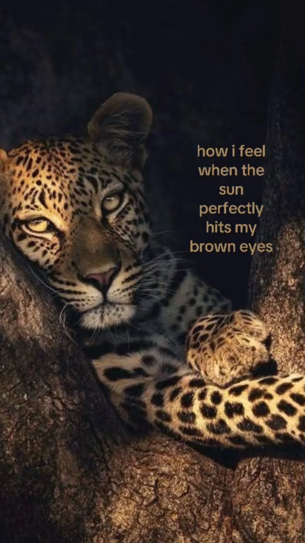 @user45557766