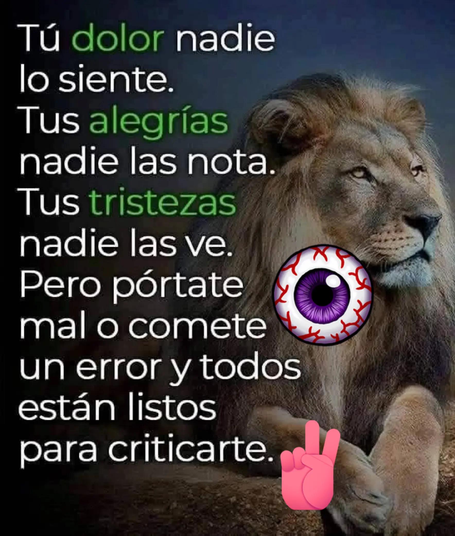 @Estela Pruneda372
