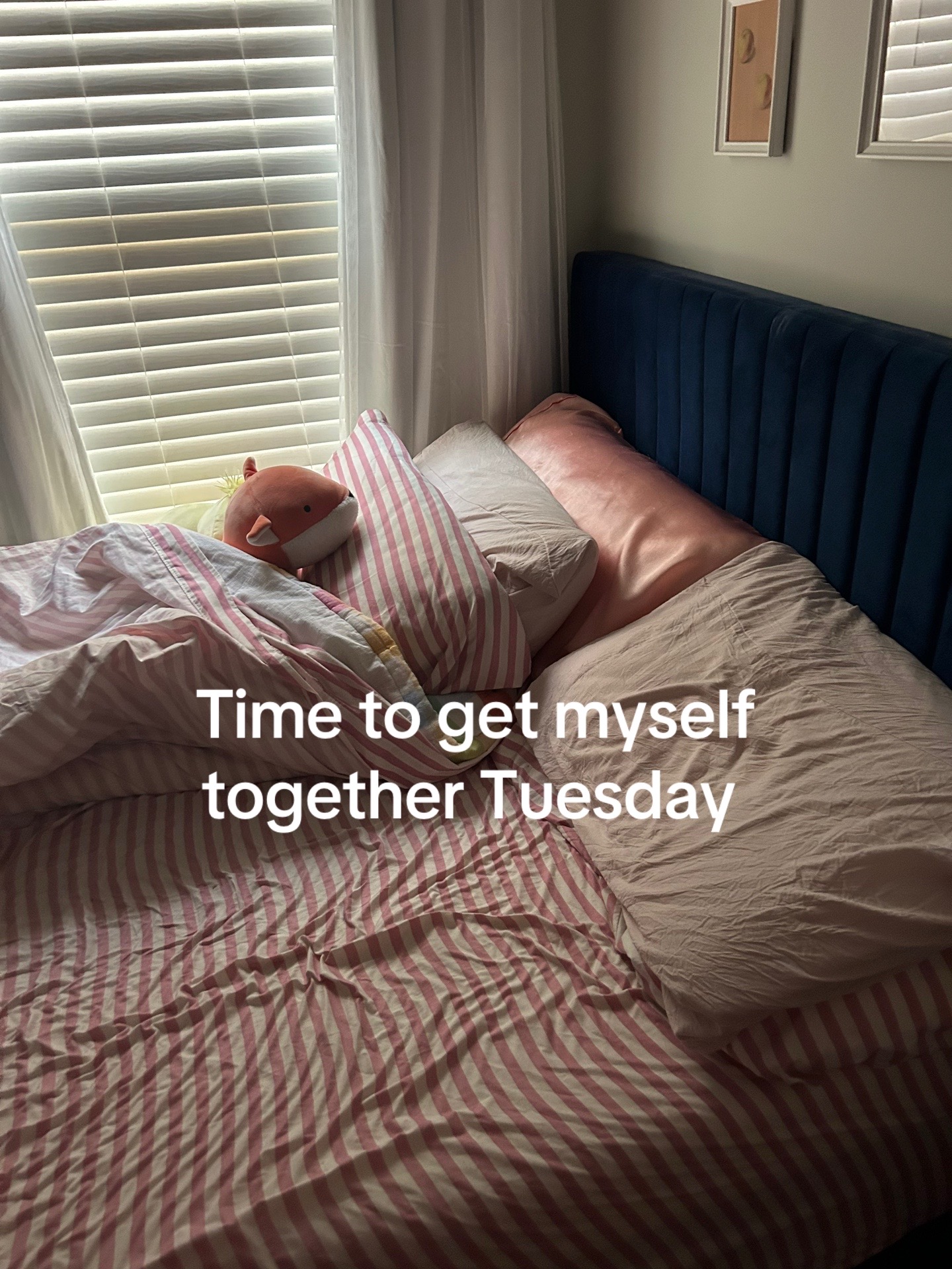 @Snugglebongo