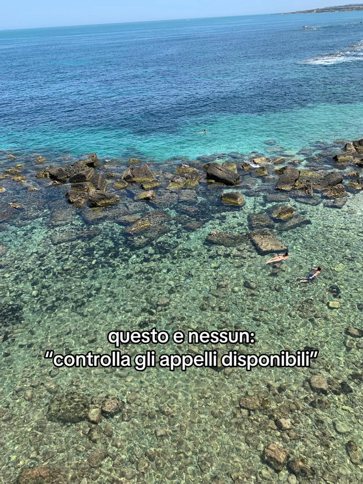 @paccu