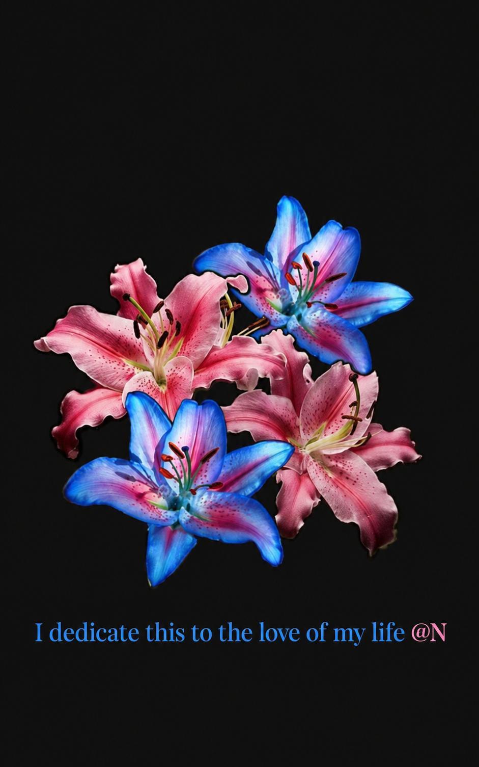 @𝙽 𝙰 𝙾 𝙷 𝙴 死