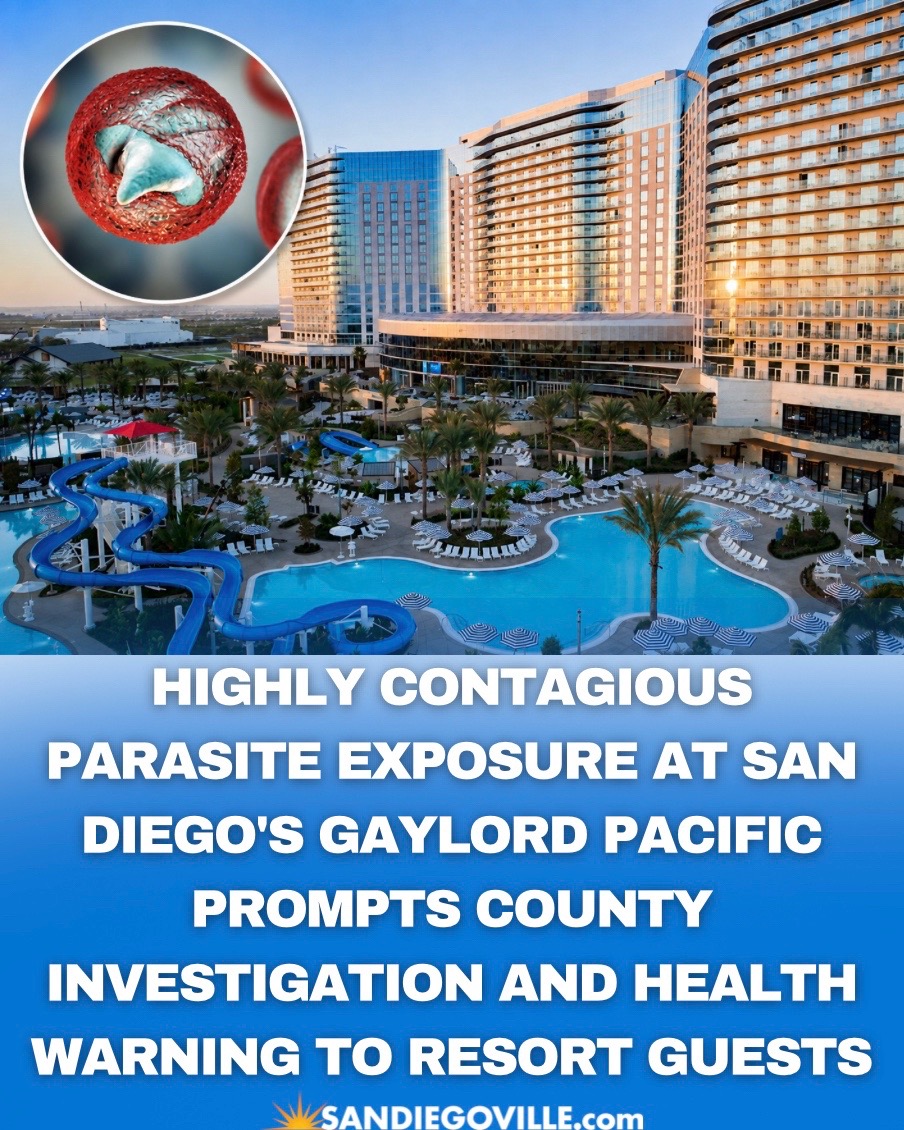 @SanDiegoVille