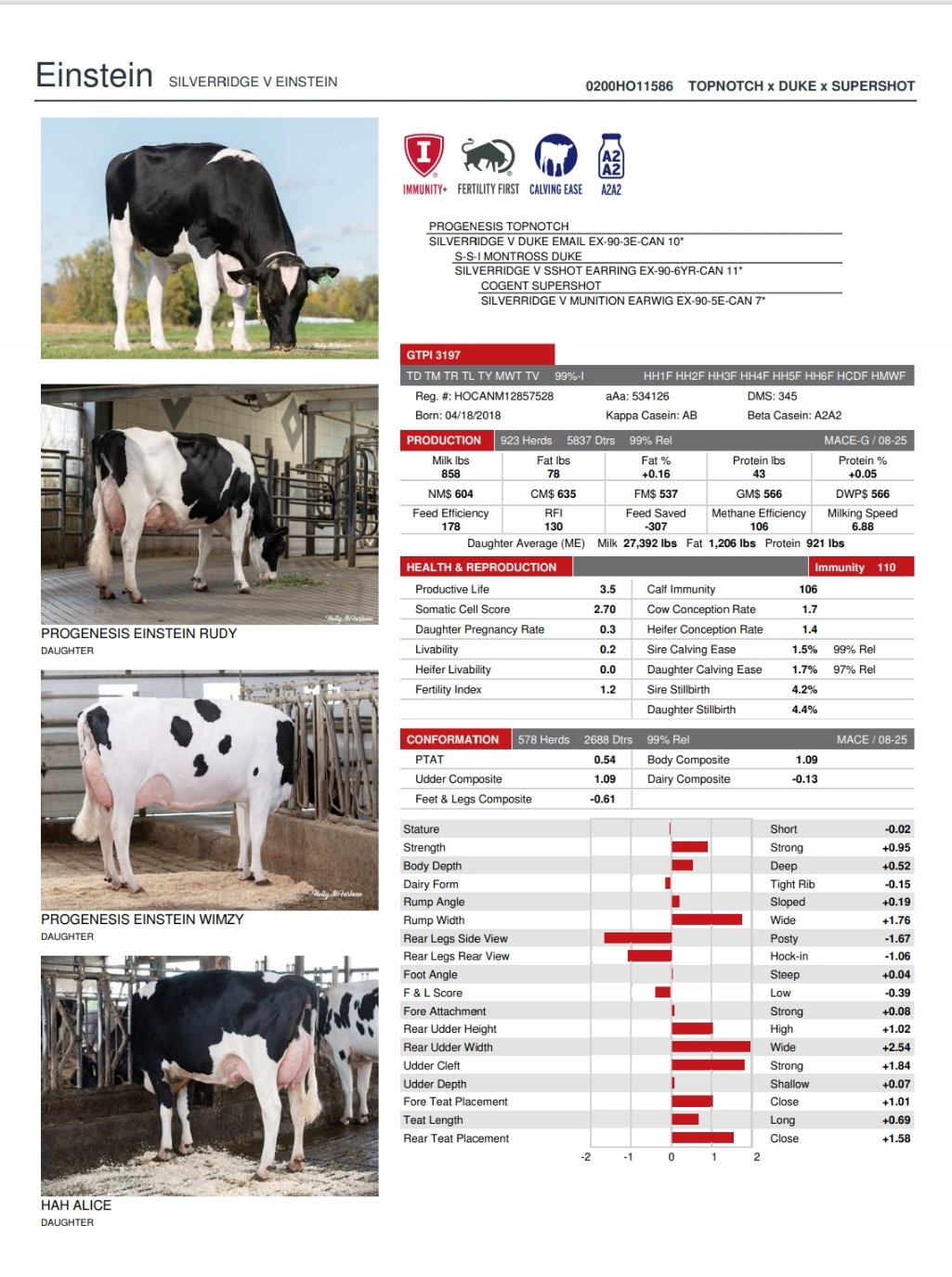 @SEMEX