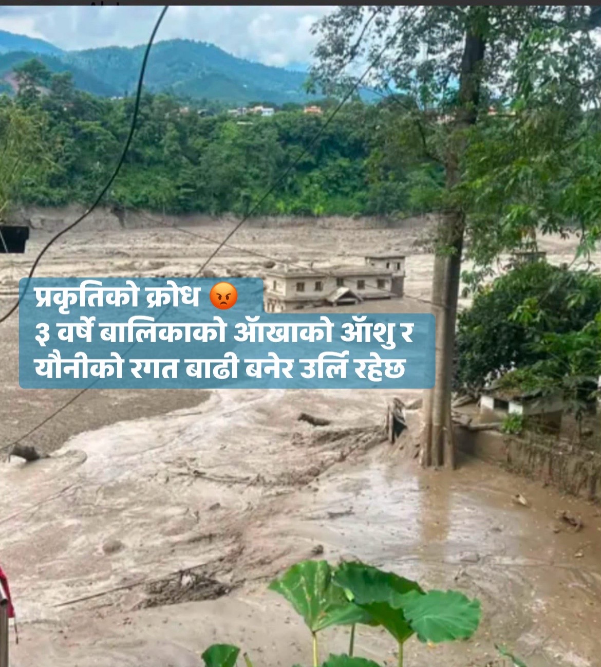 @Sunita Basnet Thapa