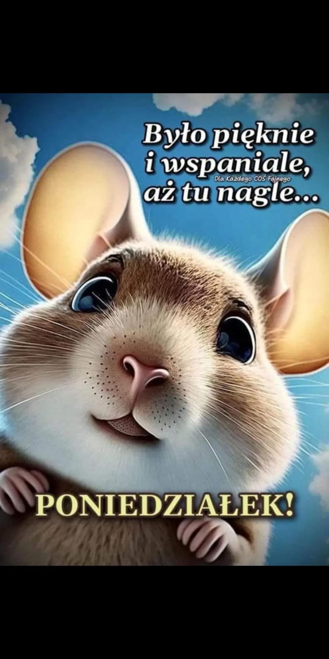 @mariolanu0