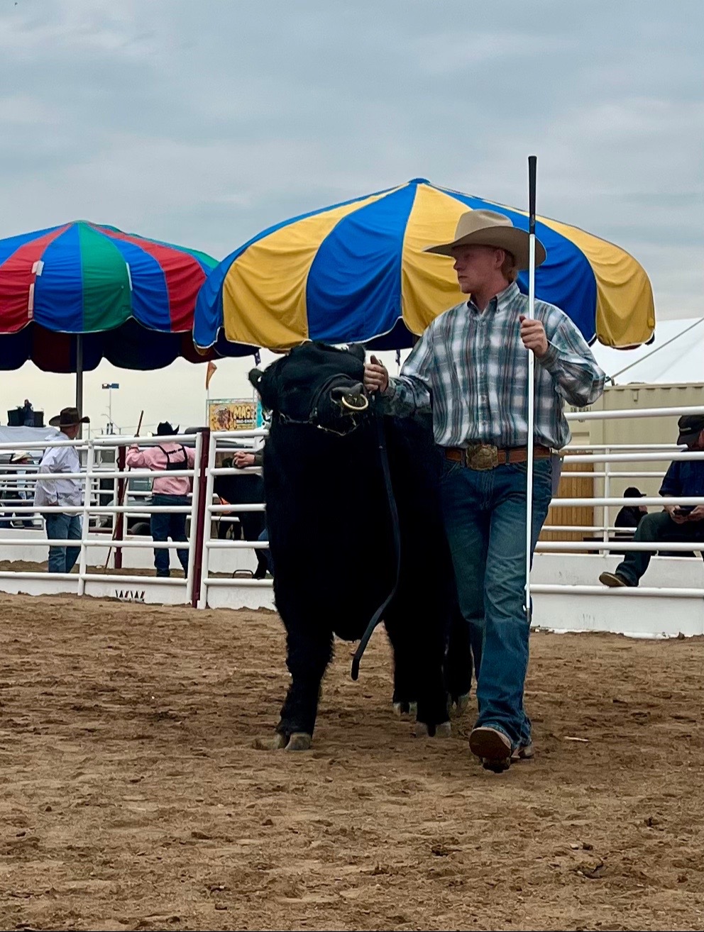 @carlosthecowpuncher