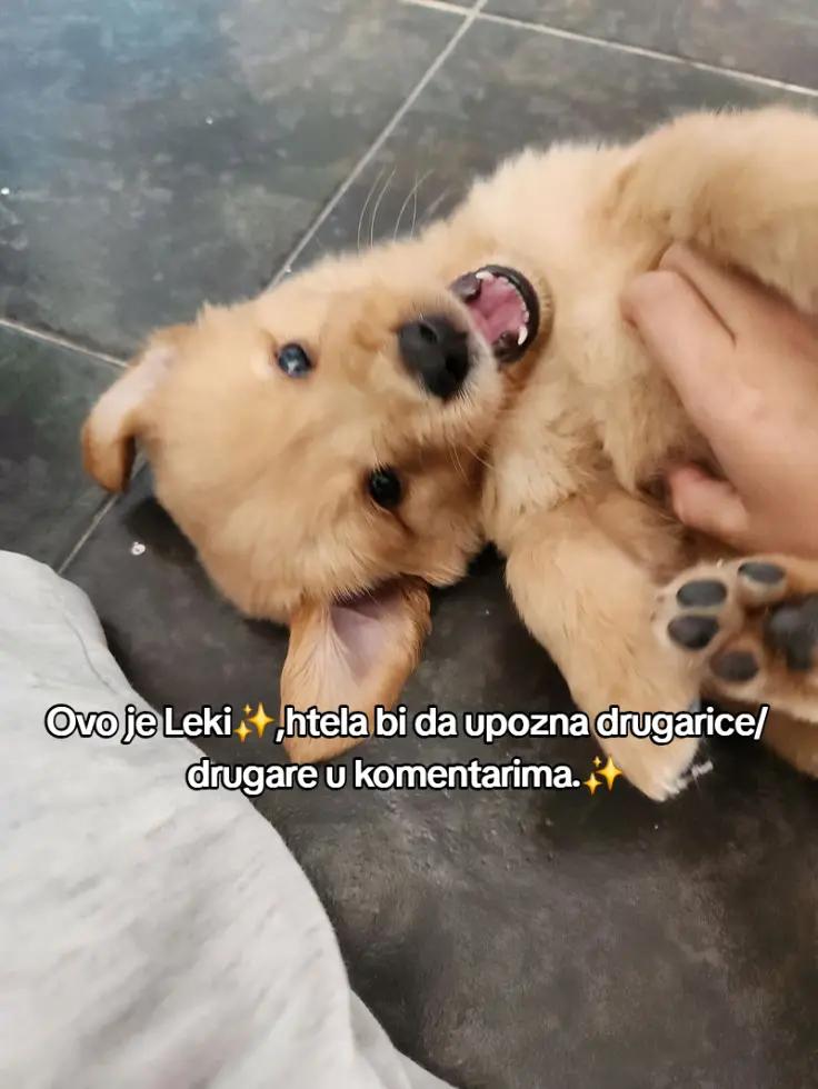 @☦