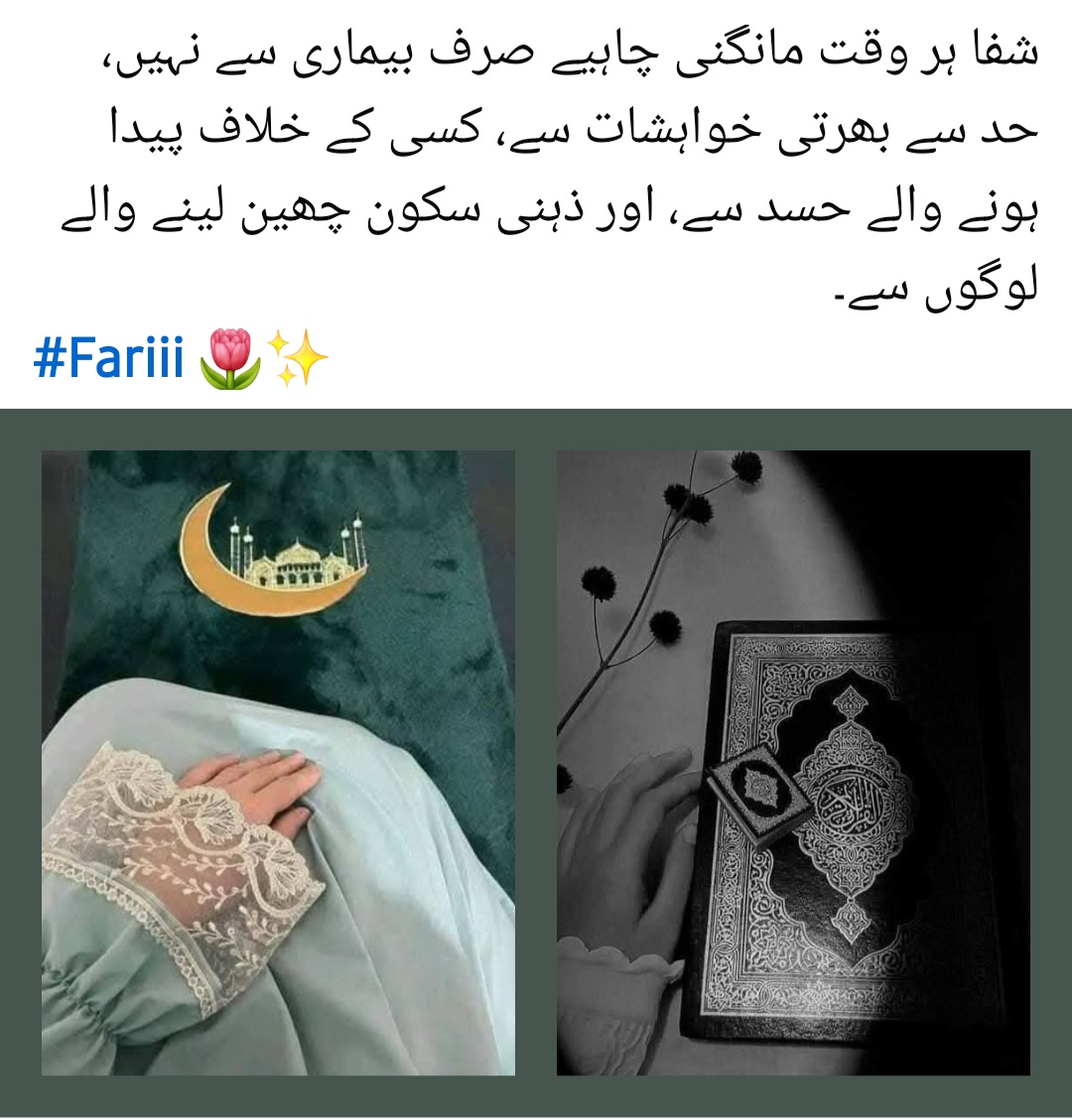 @Fariha Hassaan❤️