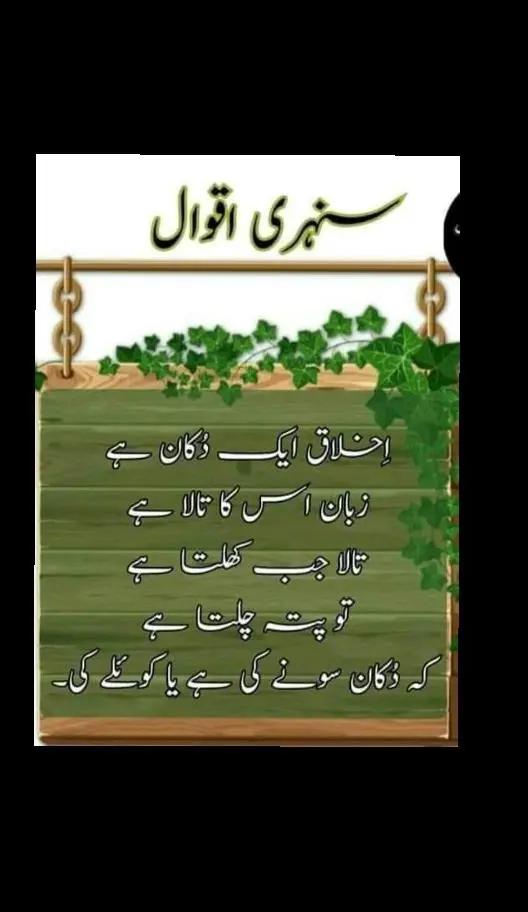 @ch imran shabbir official✅️