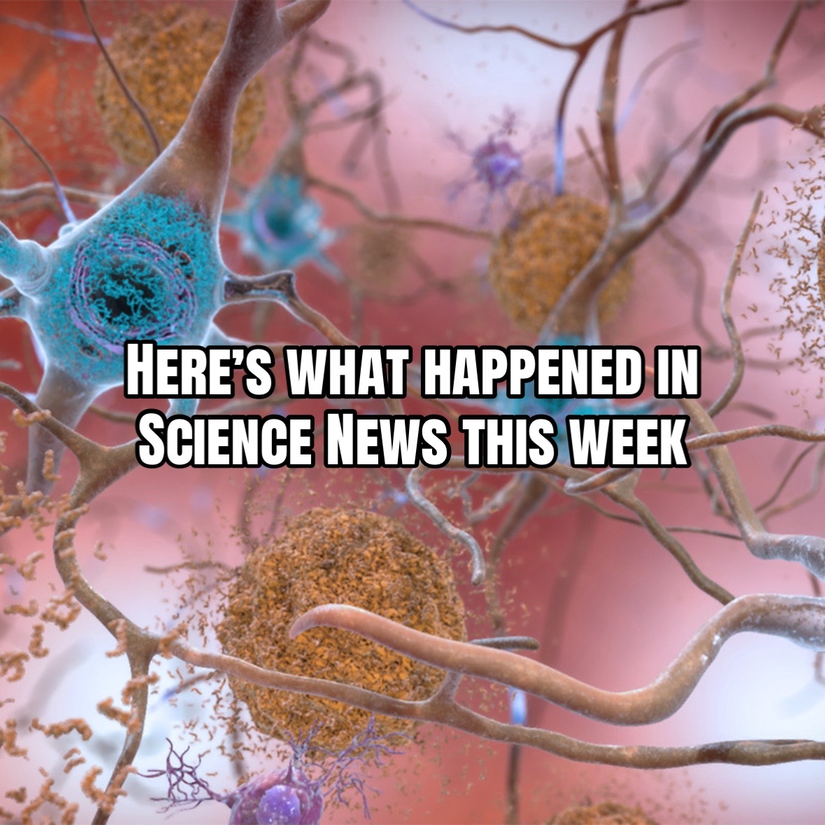 @Science News