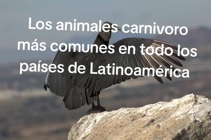 @fan&aacute;tico_de_las_hormigas🐜🐜🐜