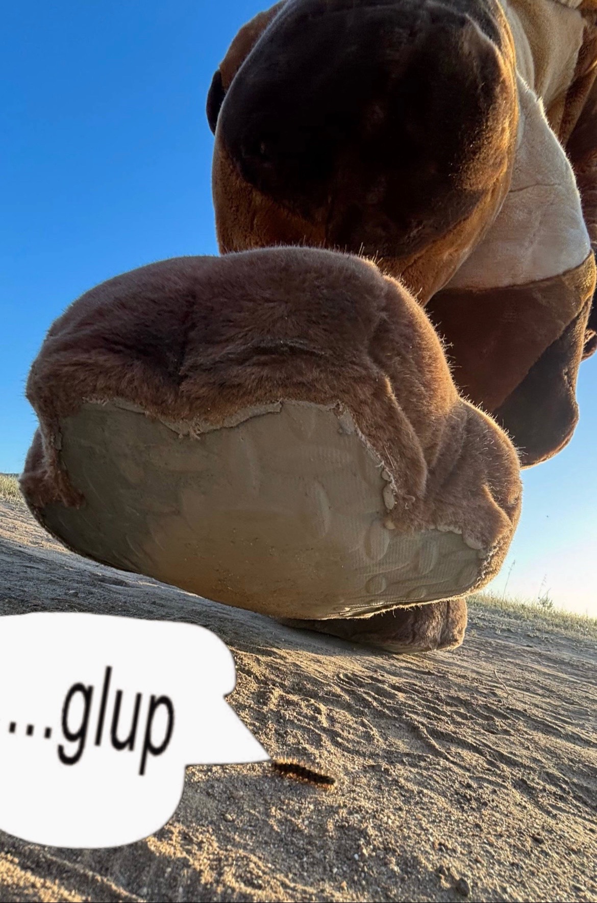 @A>L>Y>X