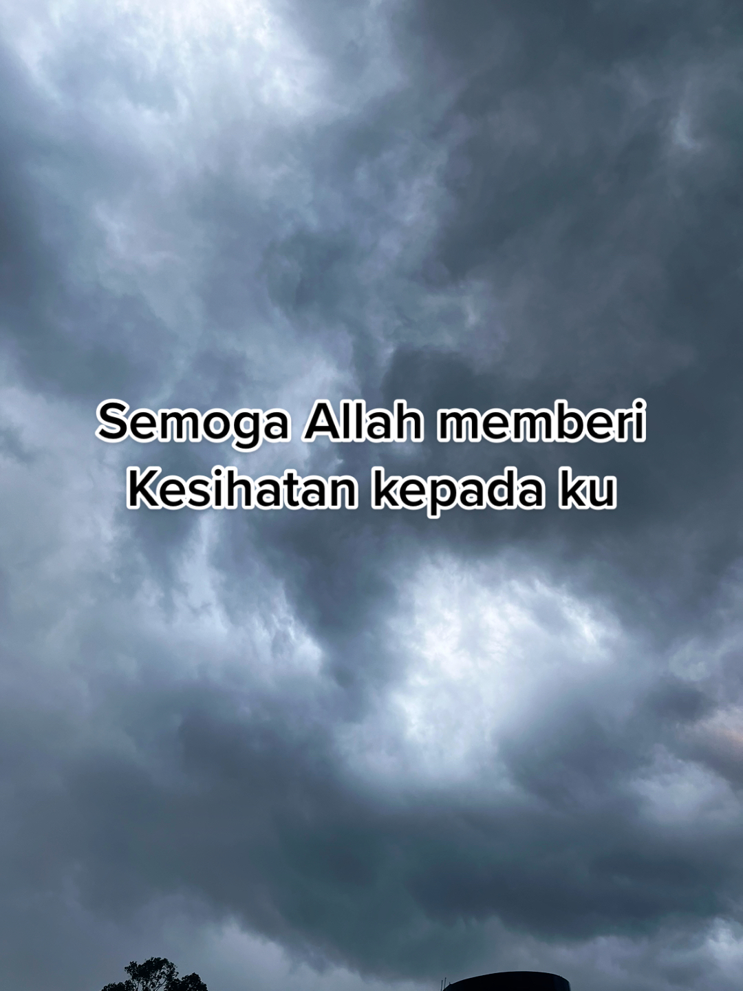 @PERFUME DEXANDRA TOP