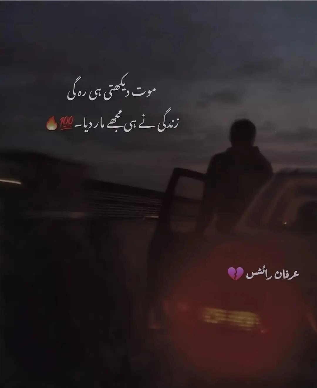 @Hani