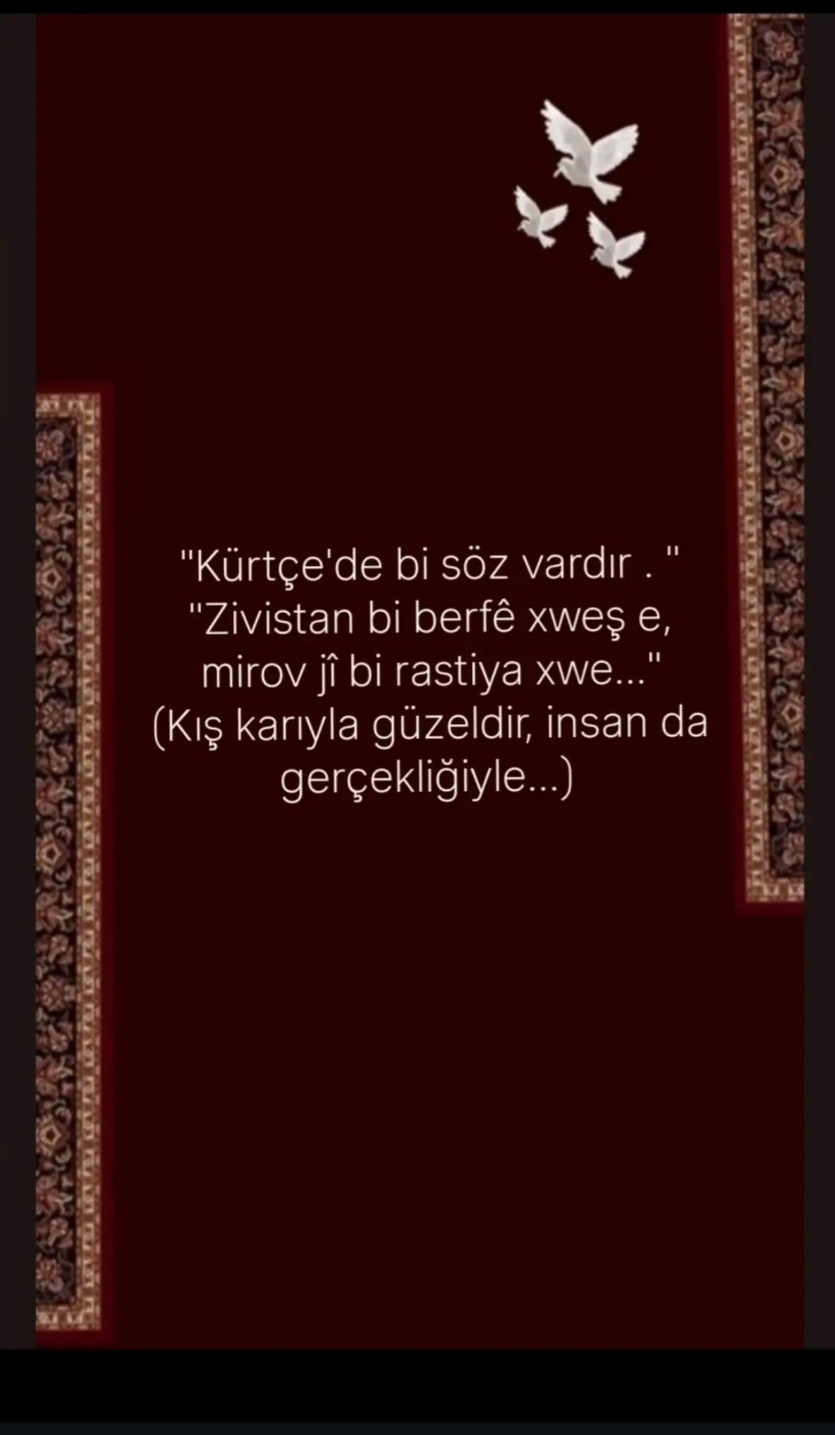 @06.02.2023. 4.17